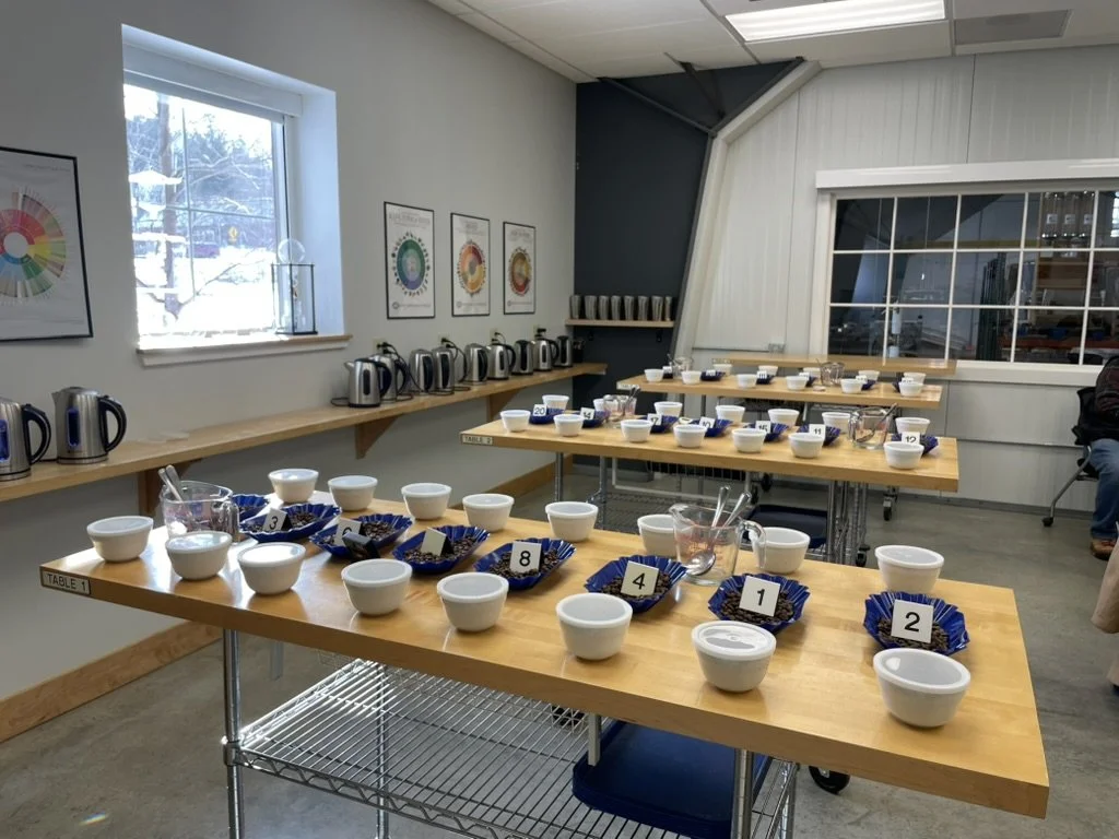 A room set up with multiple tables arranged for a tasting or sampling event, each with bowls and numbered cards. There are teapots lined up on a counter along the wall, coffee mugs on shelves, and posters on the wall showing color wheels or charts. Large windows let in natural light.