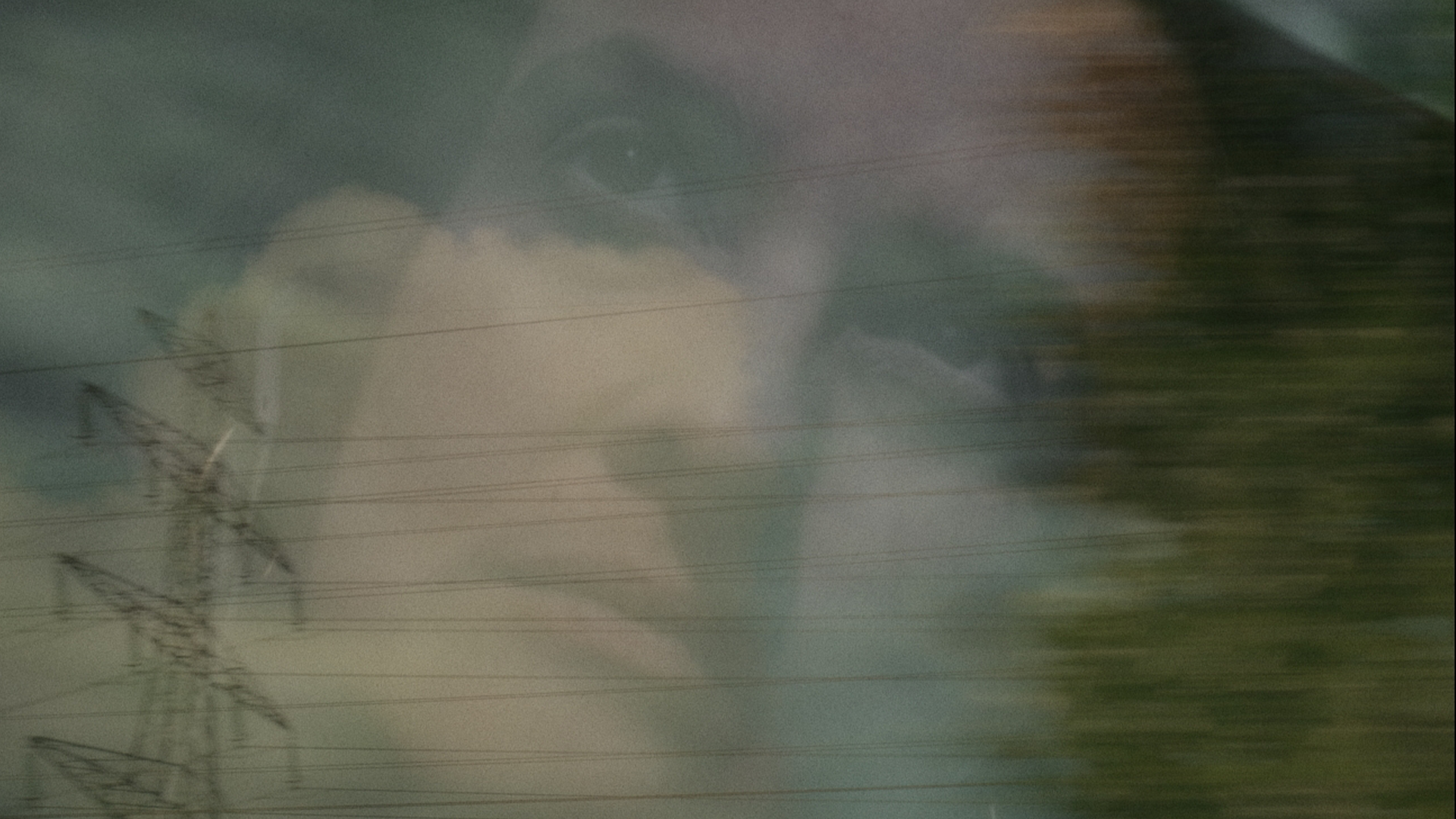 CHEMINS CROISÉS, PARCOURS INTERROMPU