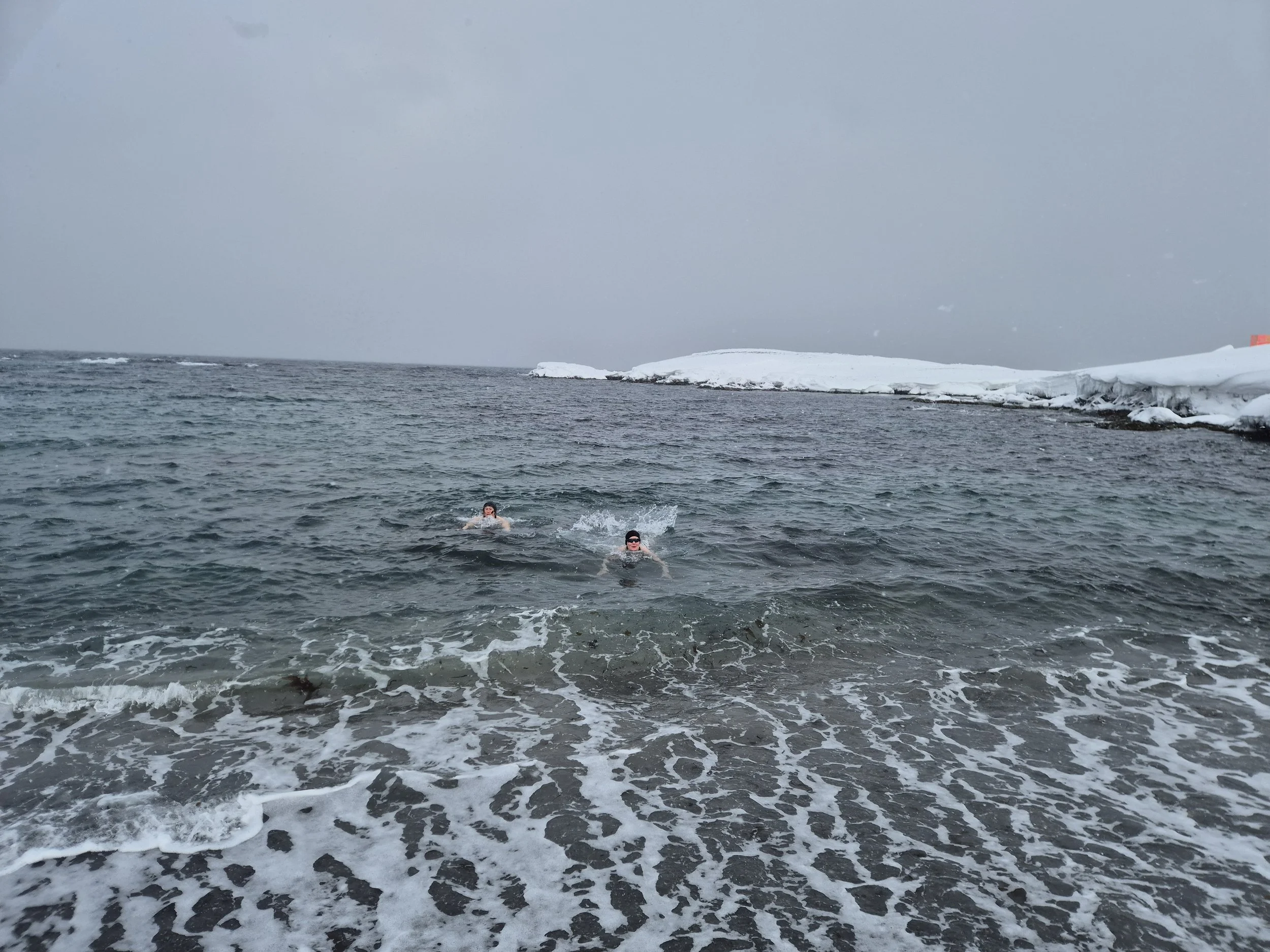 swimming at 80 degrees North