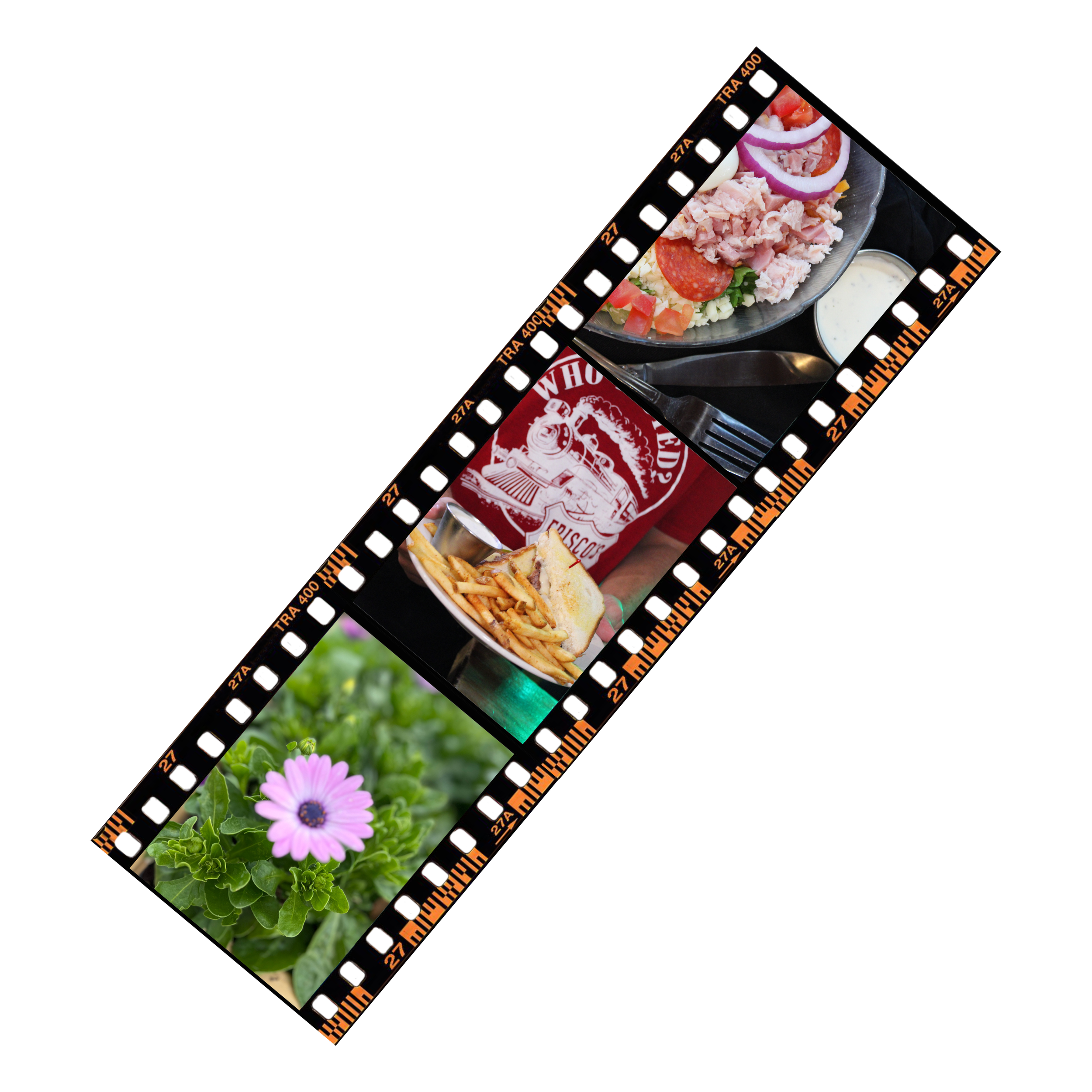 A film strip with three photos: a pink flower in green foliage, a plate of salad with meat and vegetables, and a person holding a plate of fries and a sandwich in front of a red