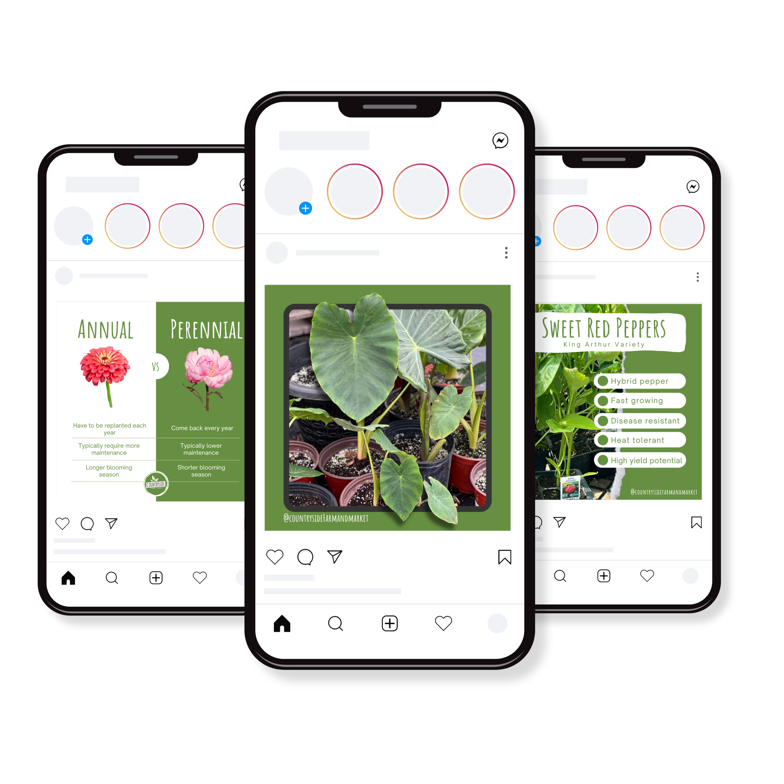 Social Media Management Packages