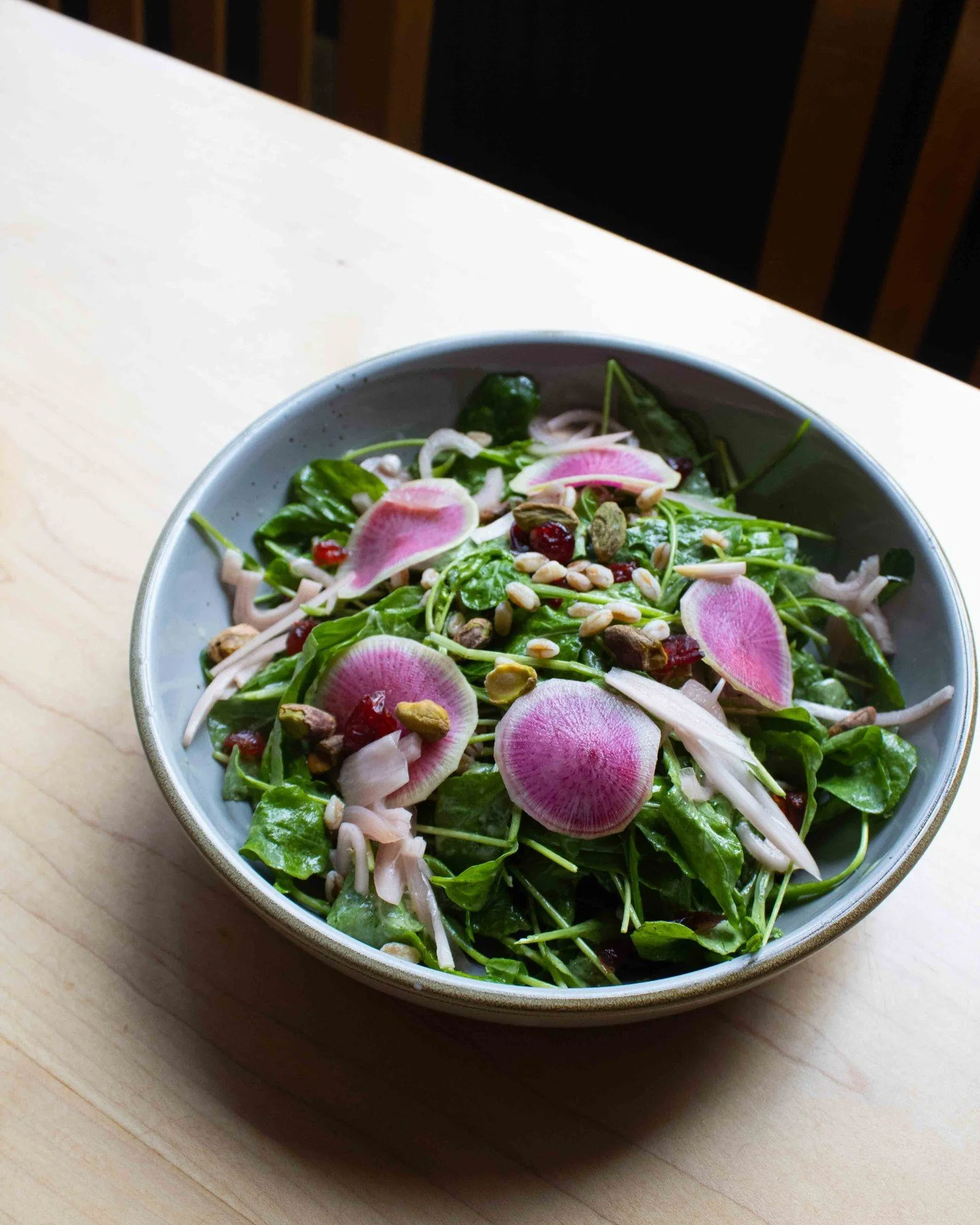 🌿 New Seasonal Salad 🌸⁠
⁠
🐫 Ancient Pharoah Salad: Baby arugula, toasted farro, shaved radish, dried cranberries, toasted pistachios, pickled shallots, rosemary dijon vinaigrette.⁠
⁠
💙🌟 No Pharoahs were harmed in the making of this salad 💙🌟