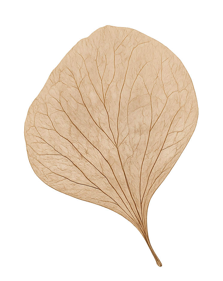 Heirblooms by Adrian Columbus Ohio Floral Preservation