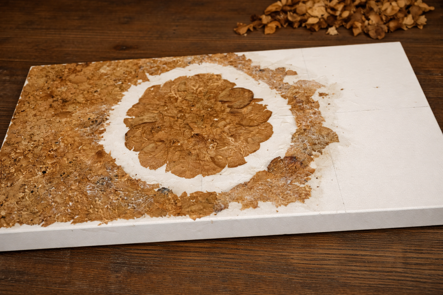 Dried petals from wedding bouquet in the process of being preserved.