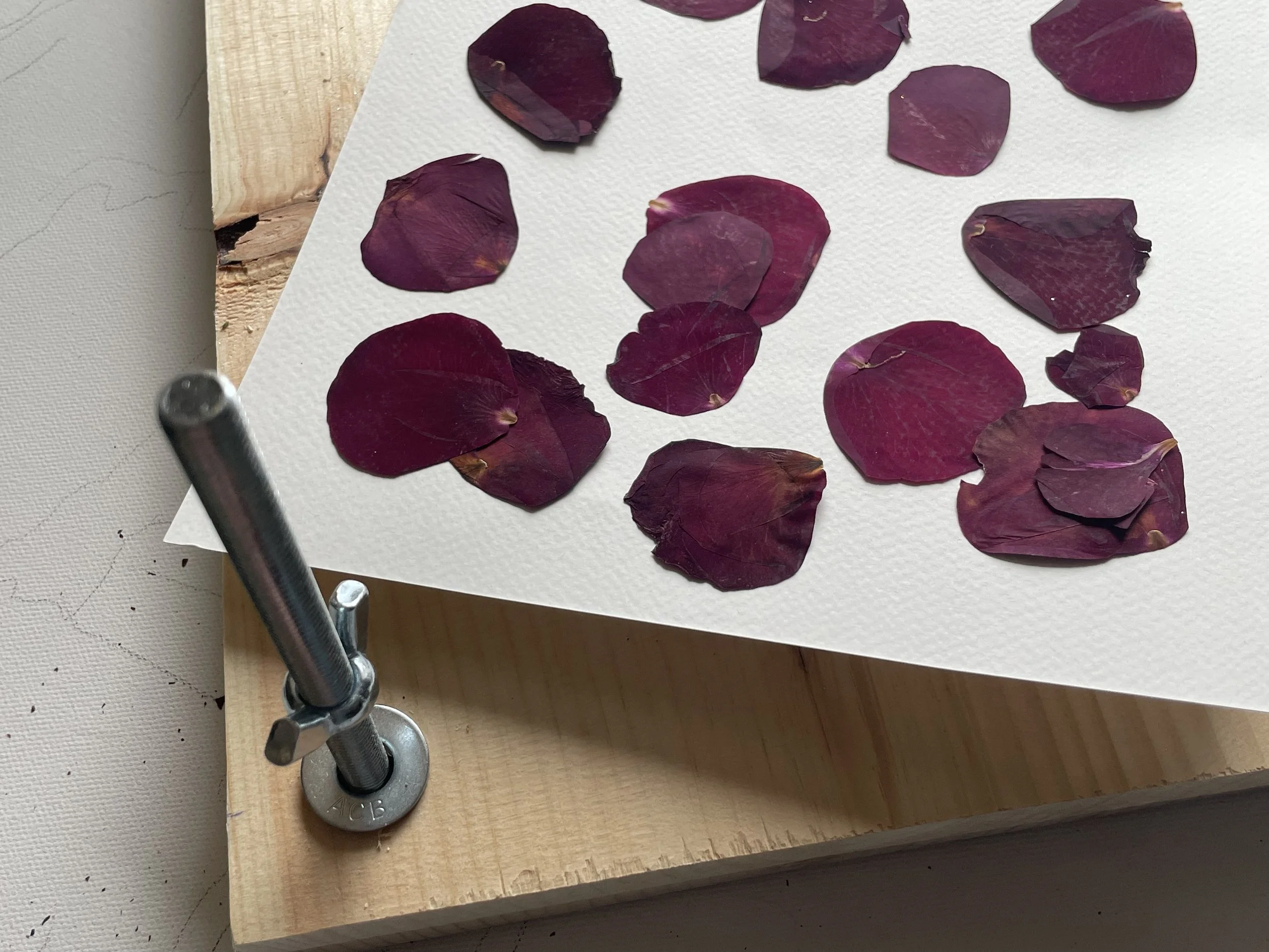 How Long Wedding Flower Preservation Takes