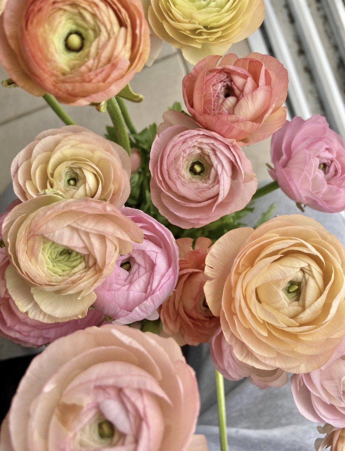 What Flowers Preserve Best for Bouquet Preservation?