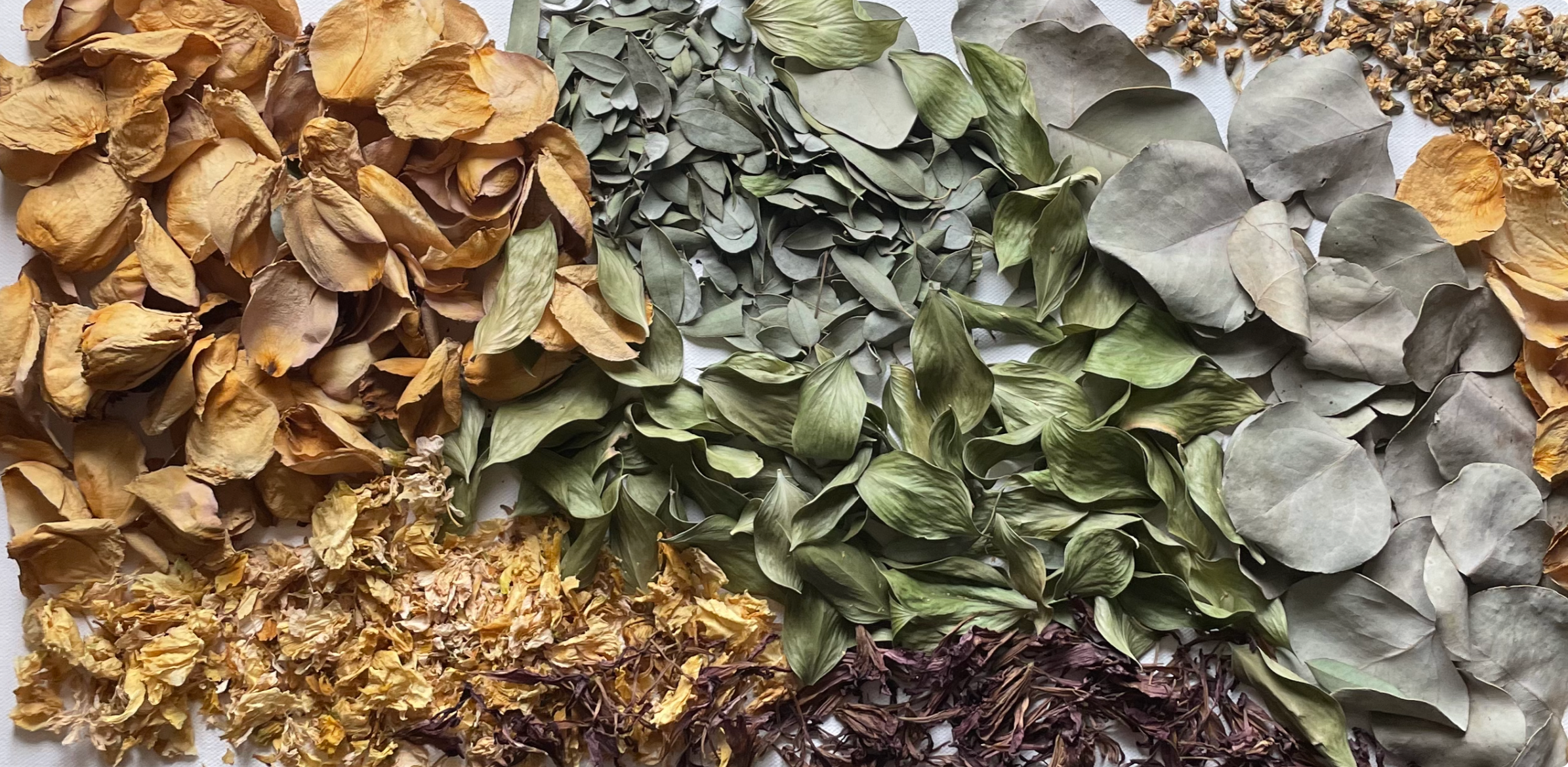 Wedding Bouquet Preservation in Columbus, Ohio: A Guide to Local Studios