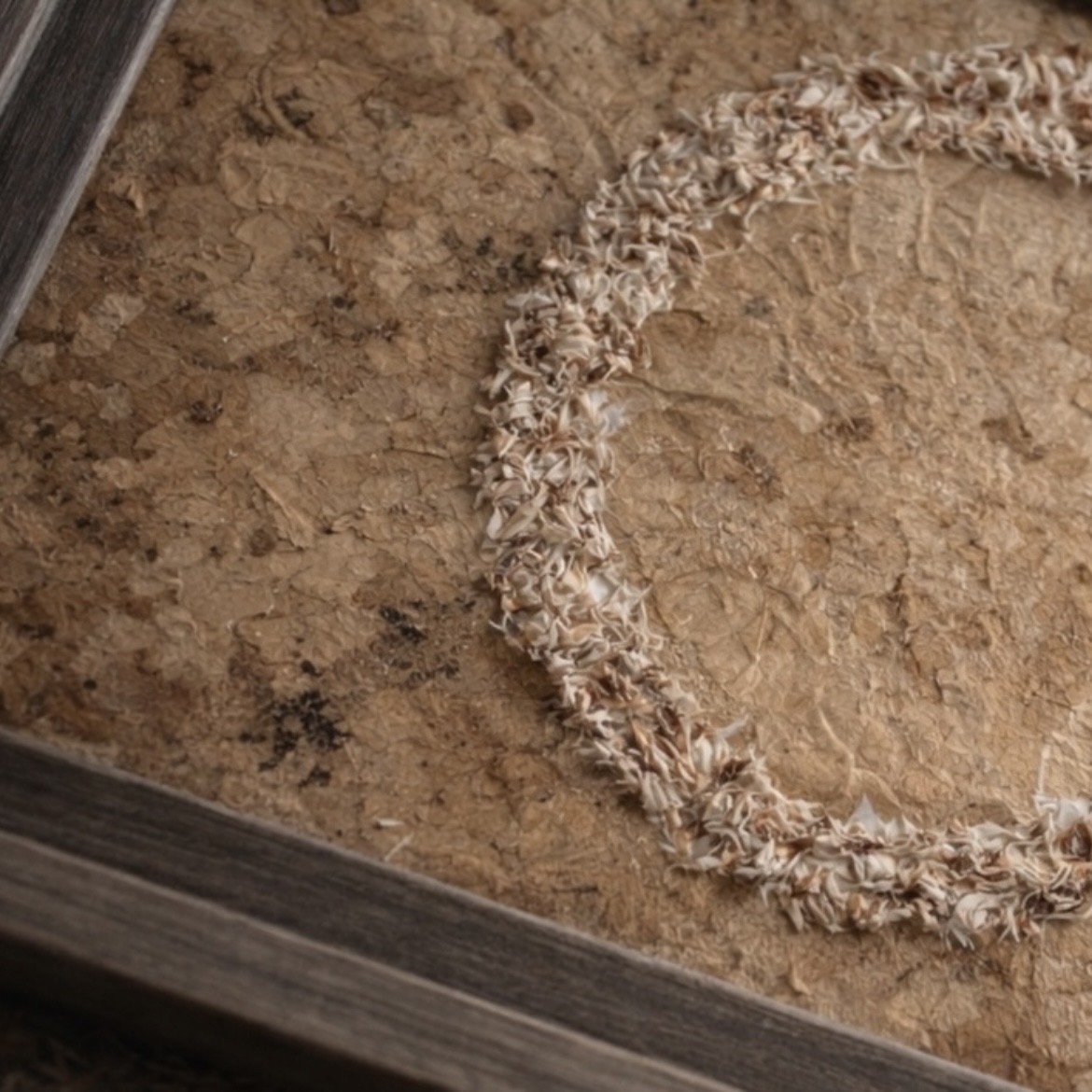 Floral Preservation vs. Flower Preservation: What’s the Difference?