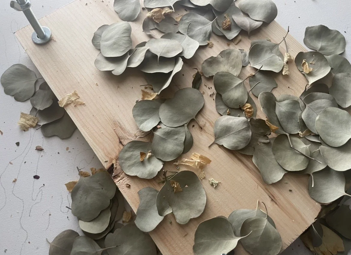 Eucalyptus leaves from a wedding bouquet being preserved in Columbus, Ohio