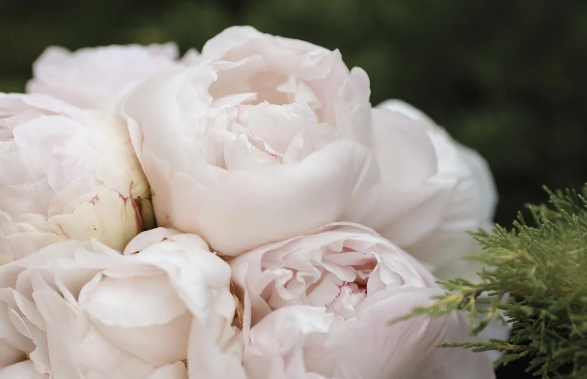 Best Floral Preservation in Columbus, Ohio? | And Why That Question Doesn’t Work