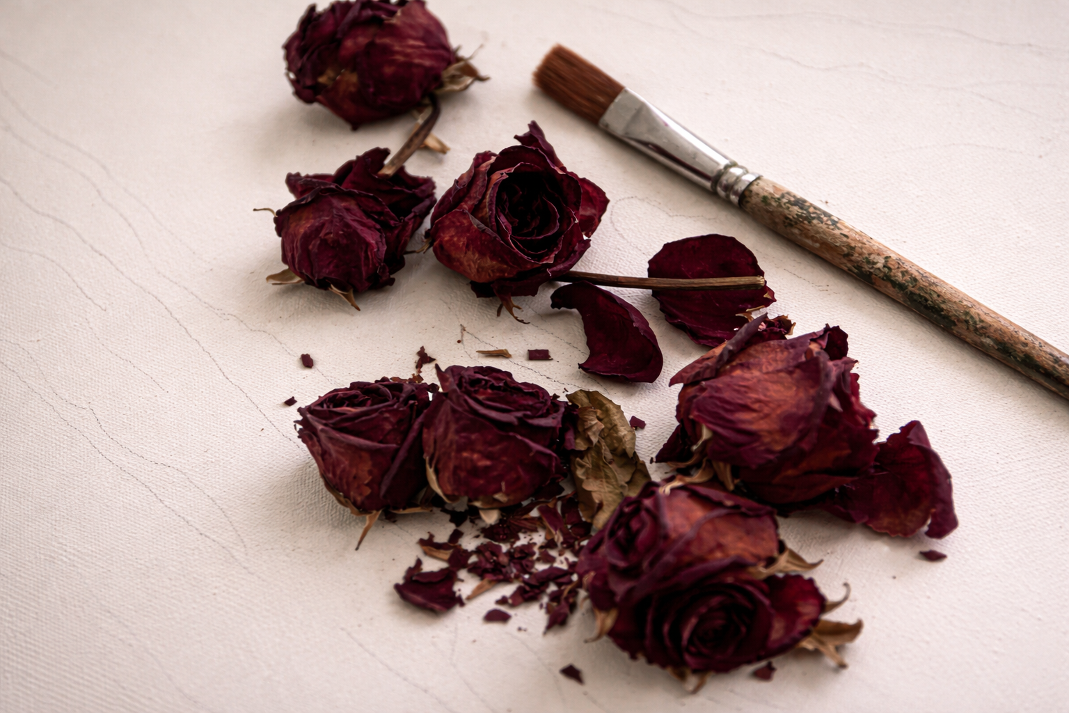 Wedding Bouquet Preservation in Toledo, Ohio: A Guide to Local Studios