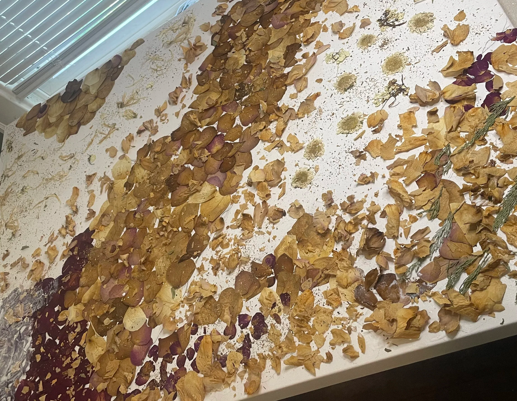 A white surface covered with dried rose petals, scattered and arranged in some areas. There are some dried flowers and sprigs of greenery on the right side of the surface.