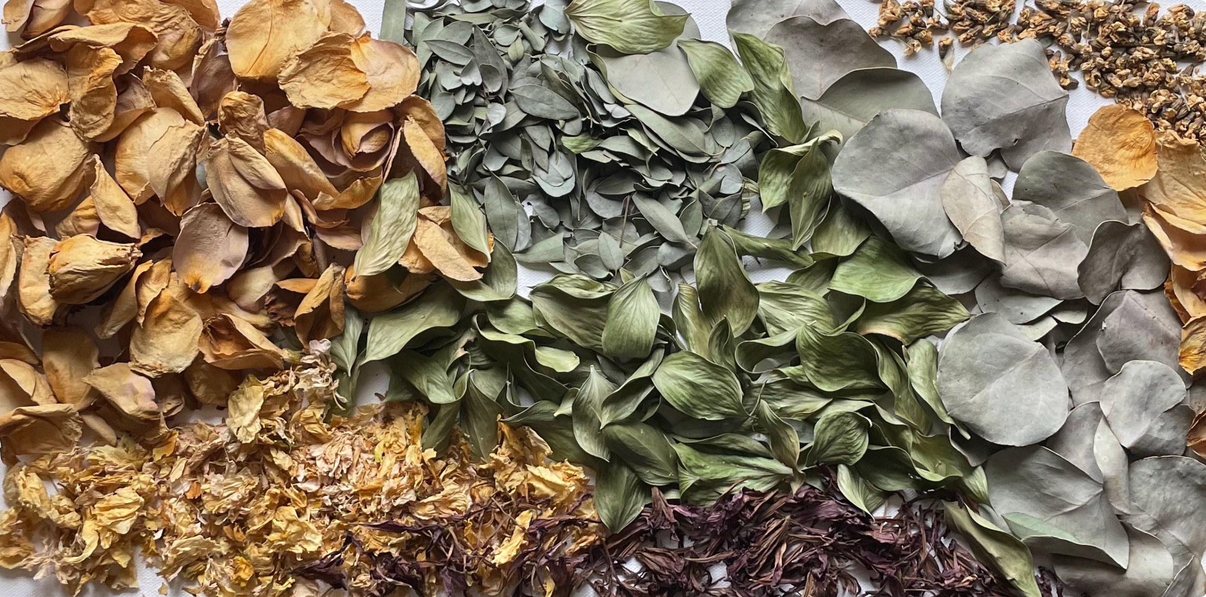 Wedding Bouquet Preservation Columbus