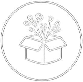 Plant growing out of a box with a circular border