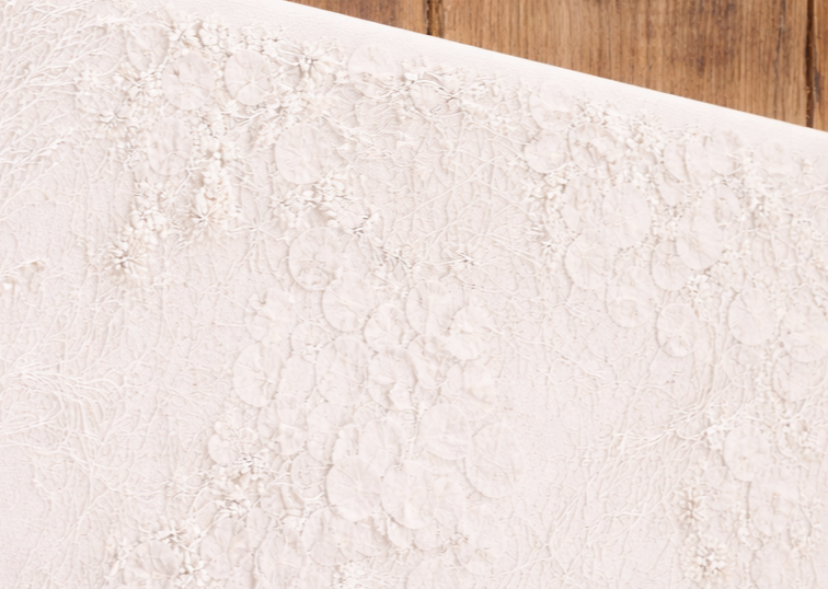 Close-up of a textured floral preservation in Columbus, Ohio.