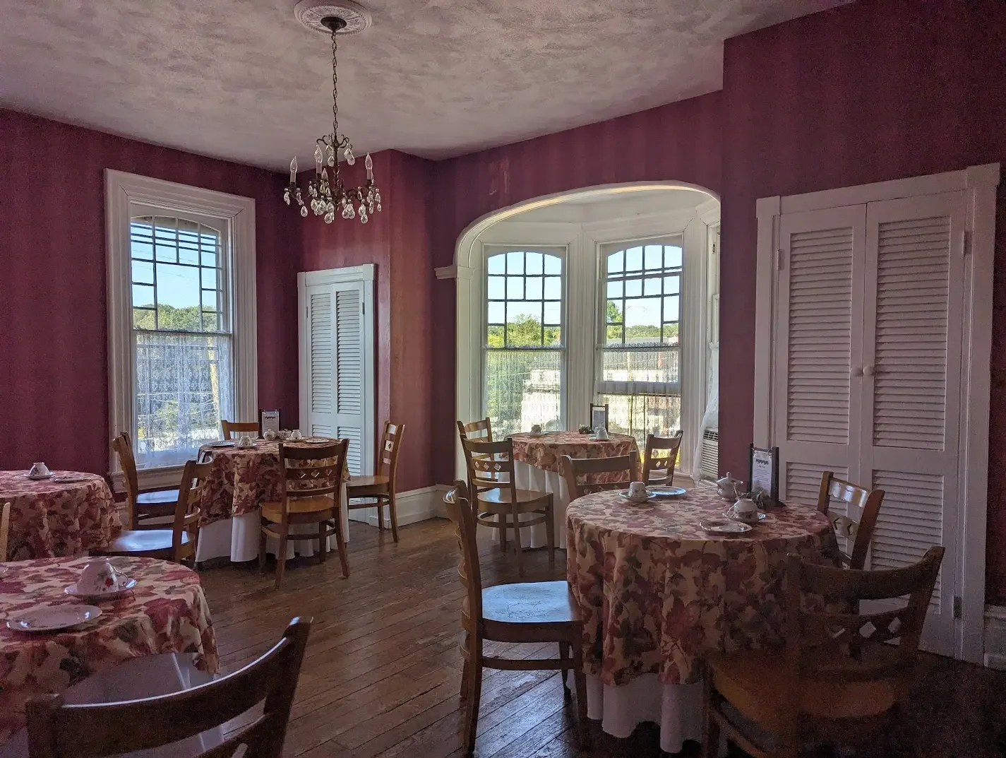 Afternoon Tea Bus Trip