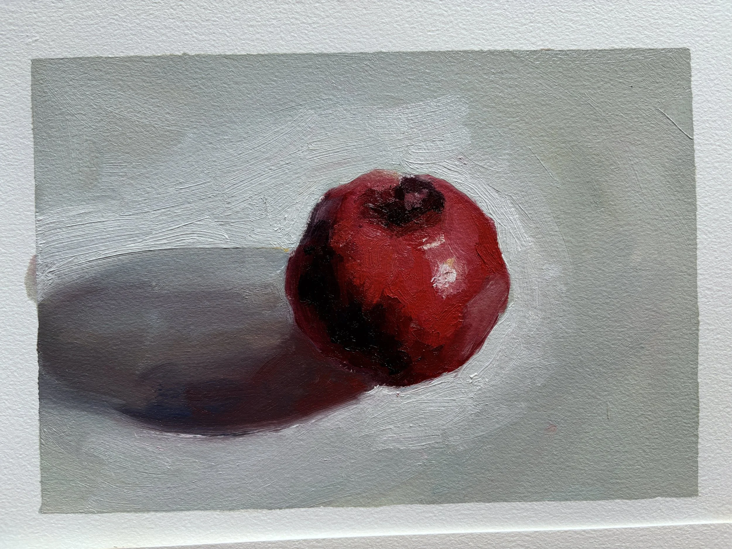 Pomegranate Sketch