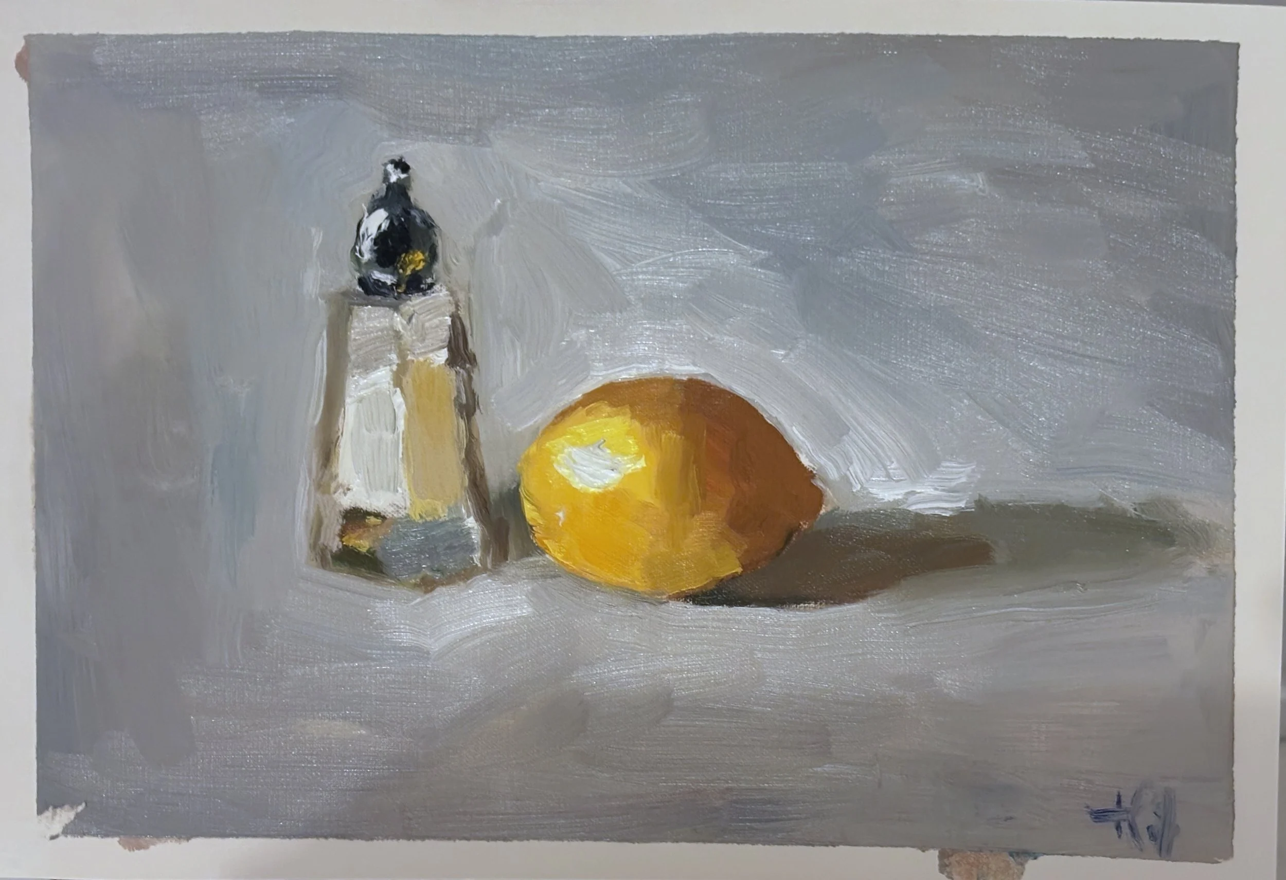 Salted Lemon - David Oleski Copy