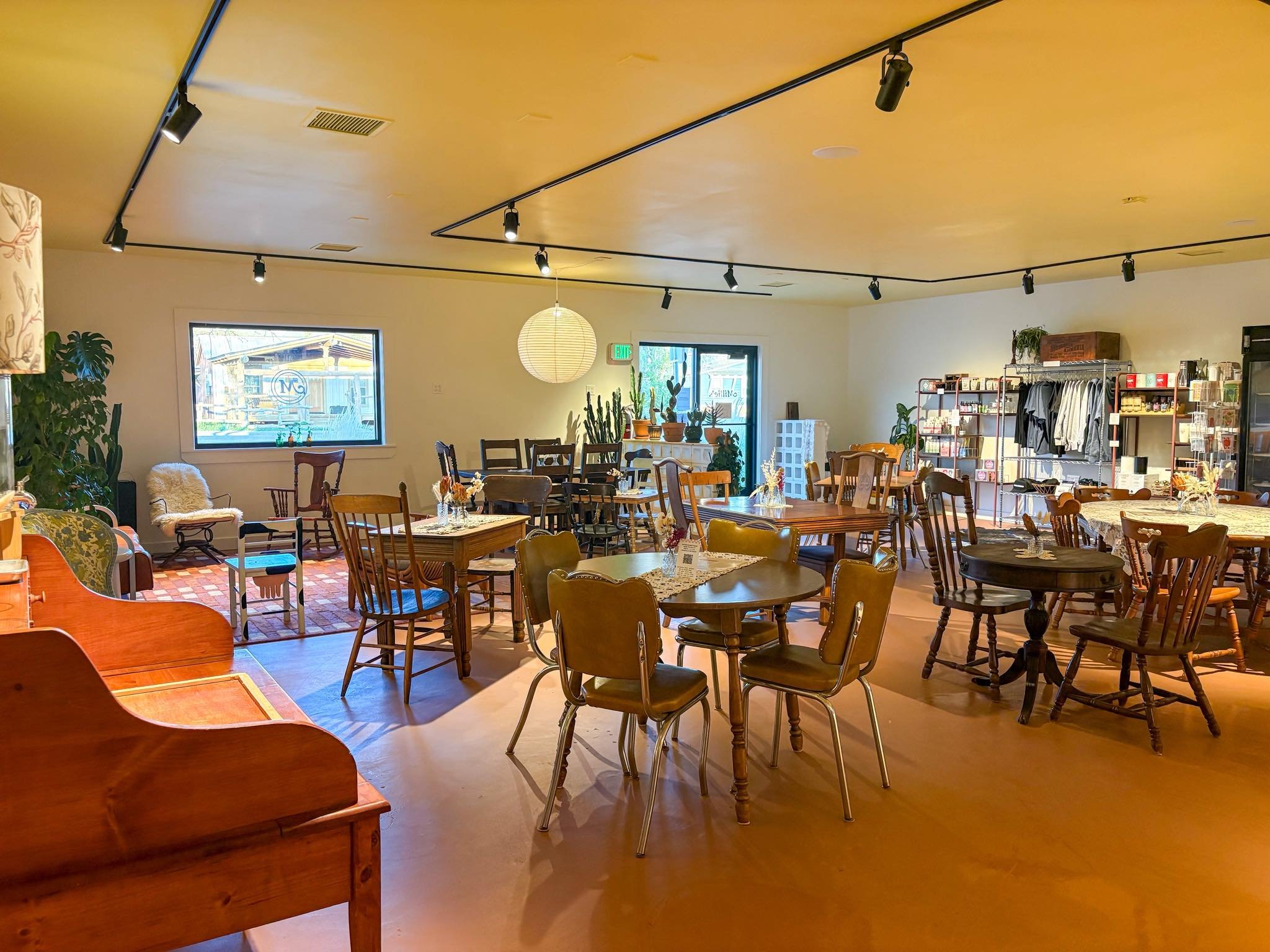 Interior view of a furniture store with various wooden chairs, tables, and decor items, large windows, plants, and ceiling track lighting.