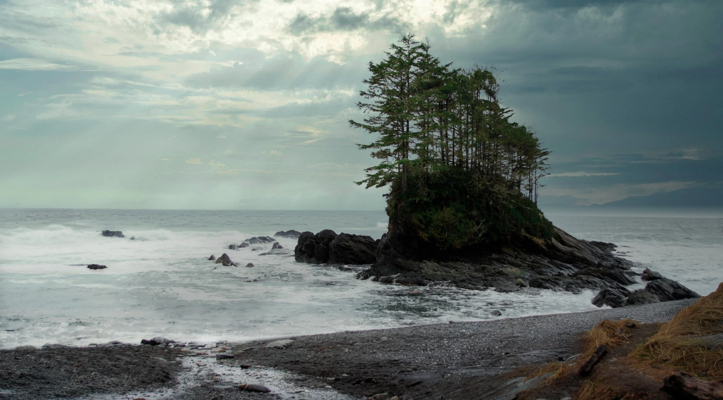 Botanical Parkv3 - 2023-Edit.jpg