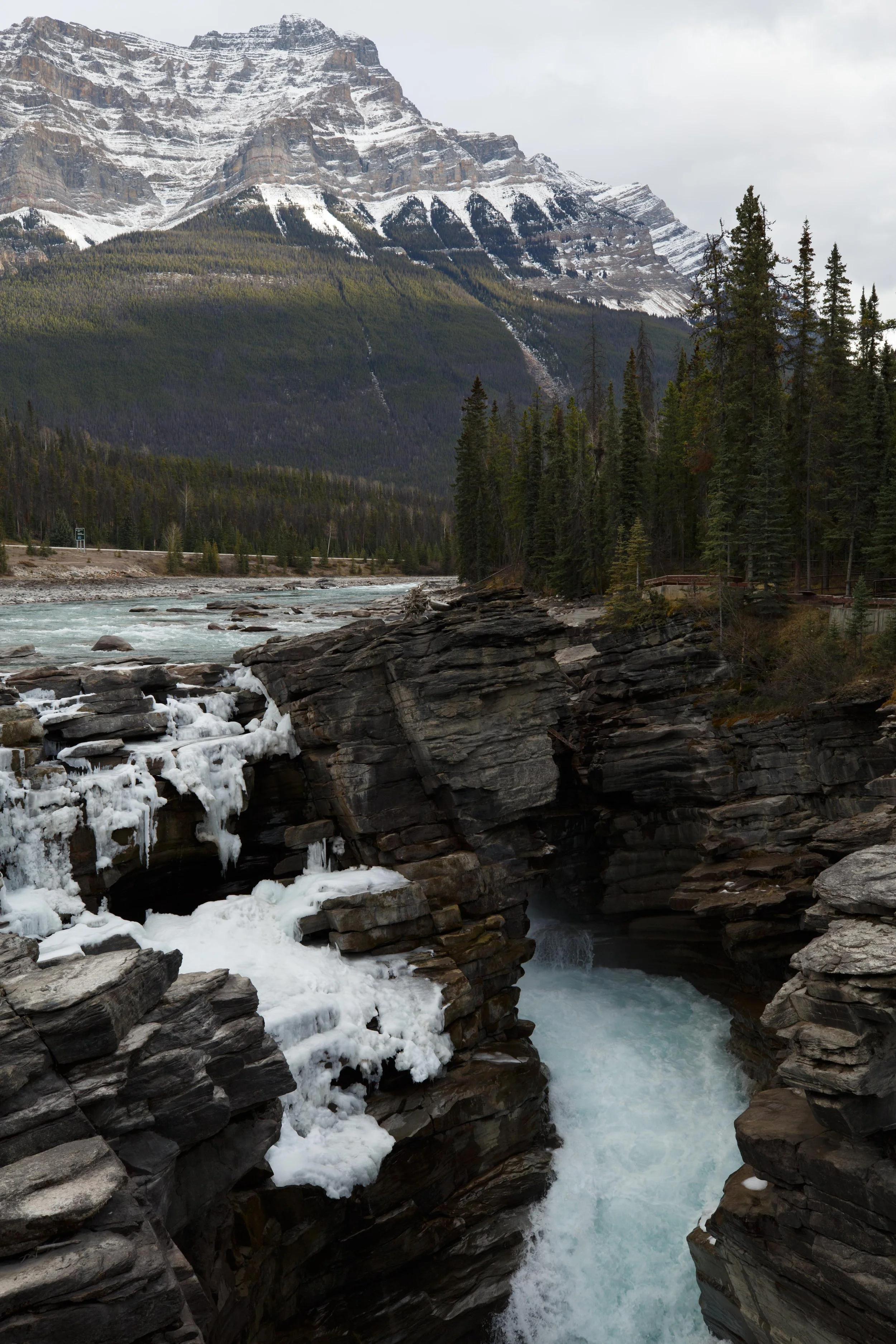 Athabasca Falls - #1 2023.jpg