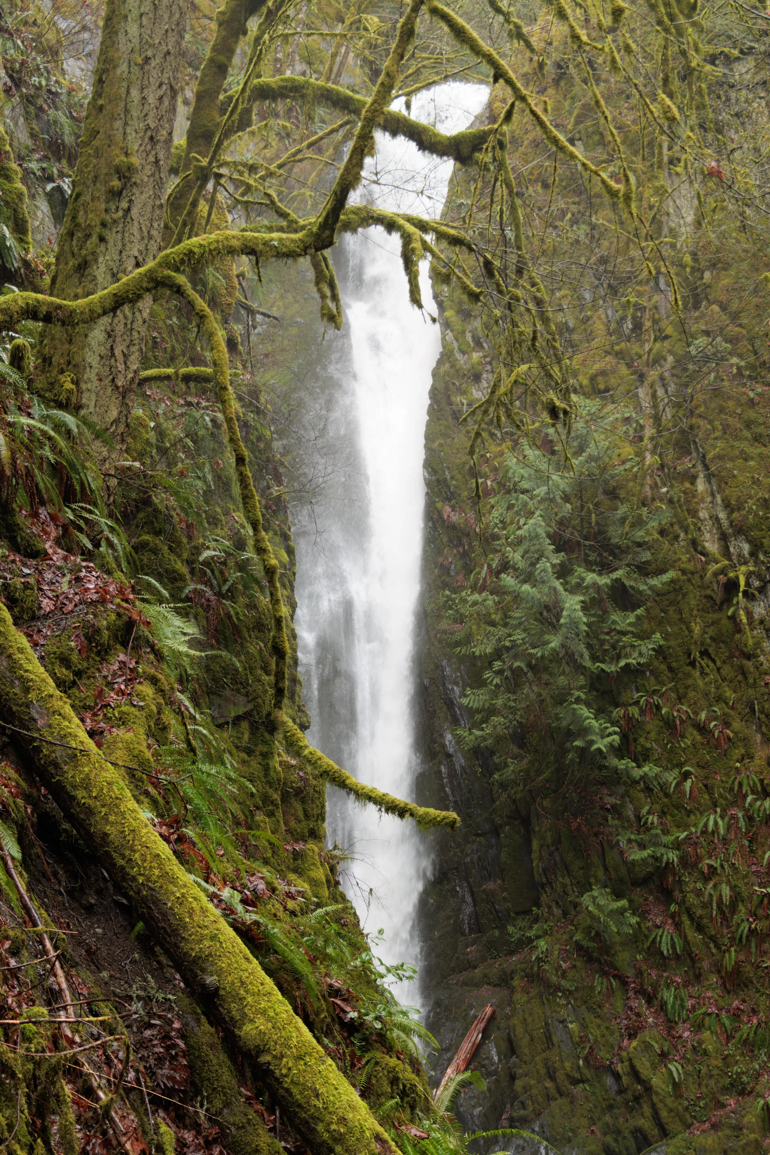 Hidden Spring Falls 2023.jpg