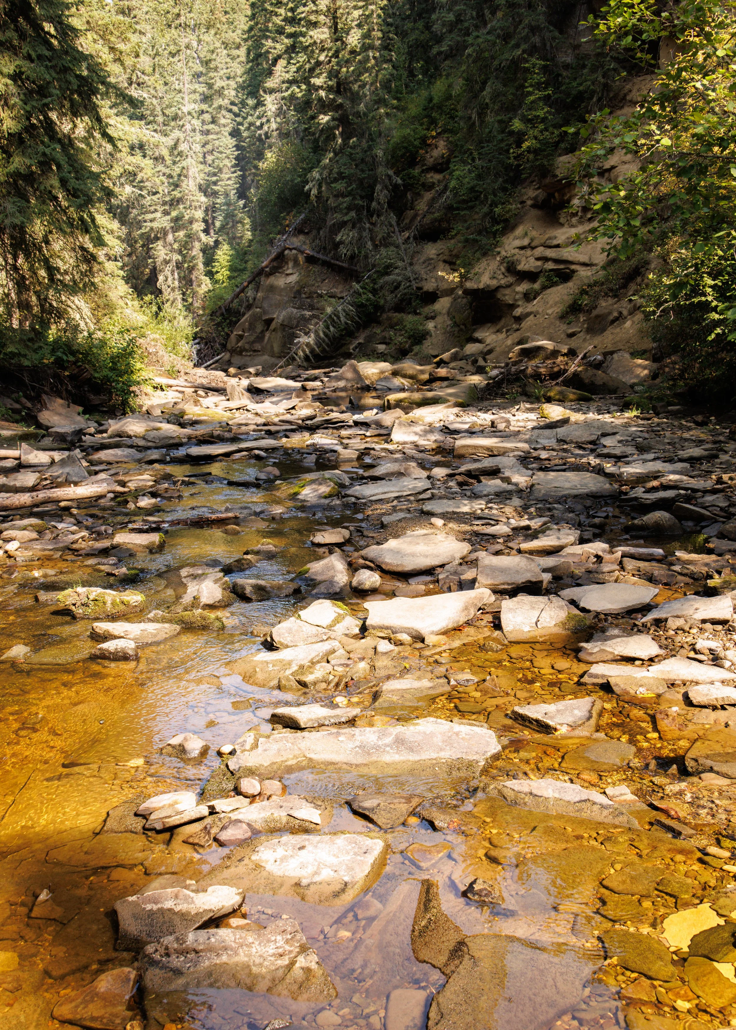 Hidden Canyon - 2025.jpg