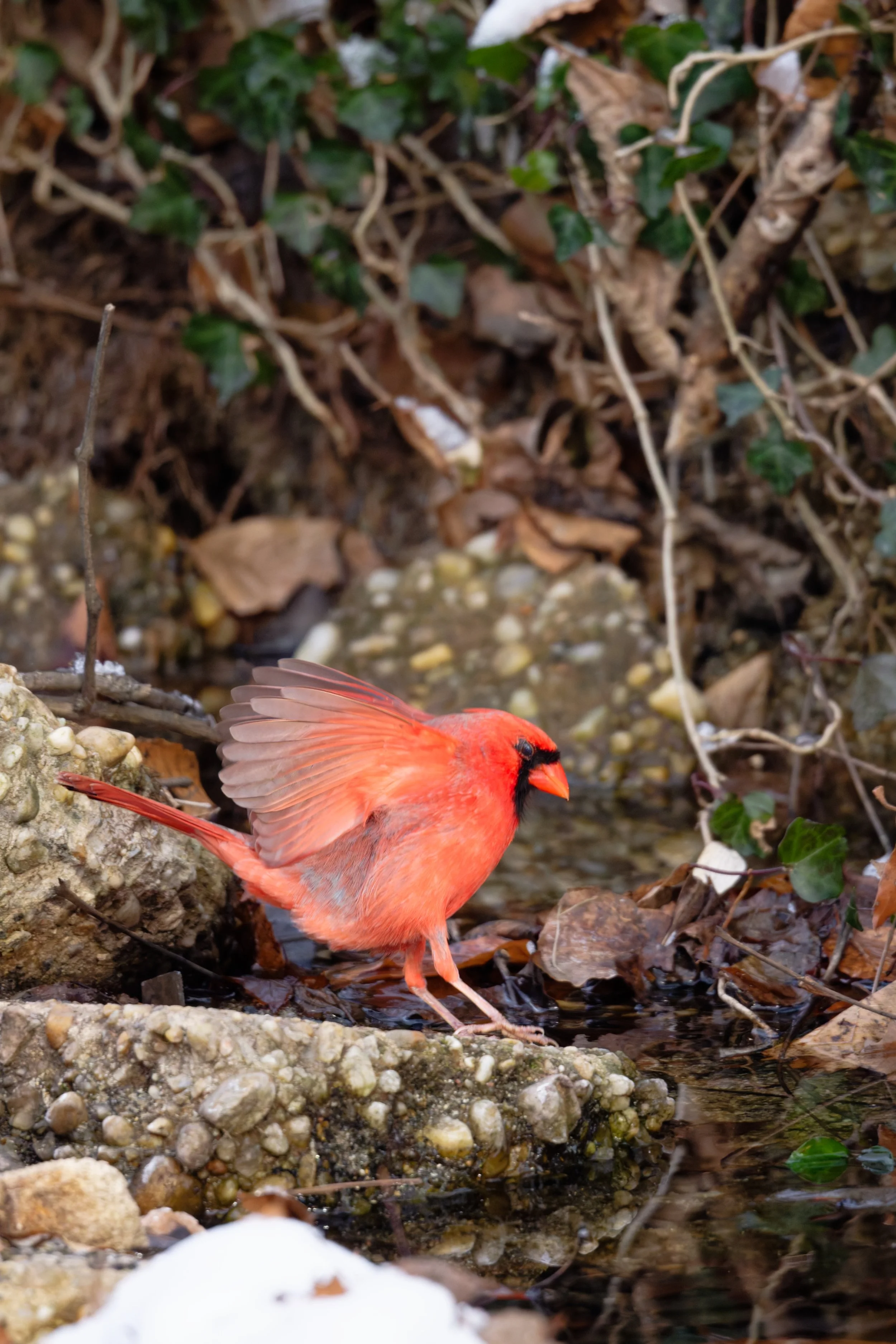 DSC_4549_DxO.jpg