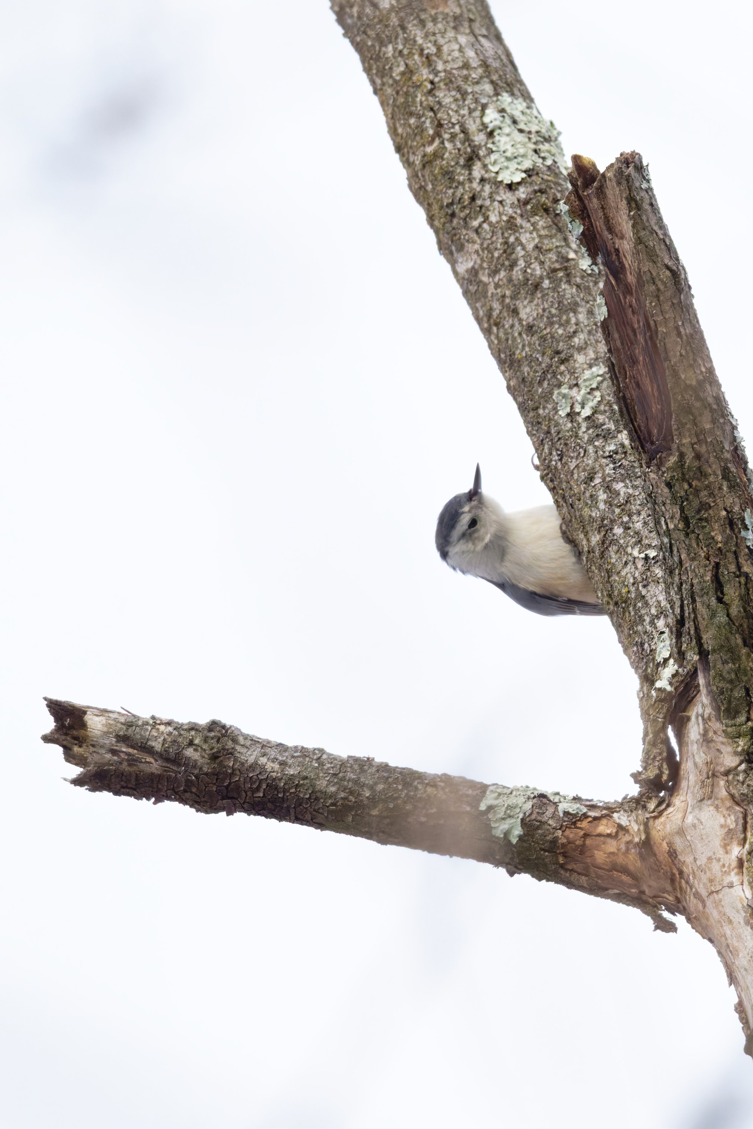 DSC_5227_DxO.jpg