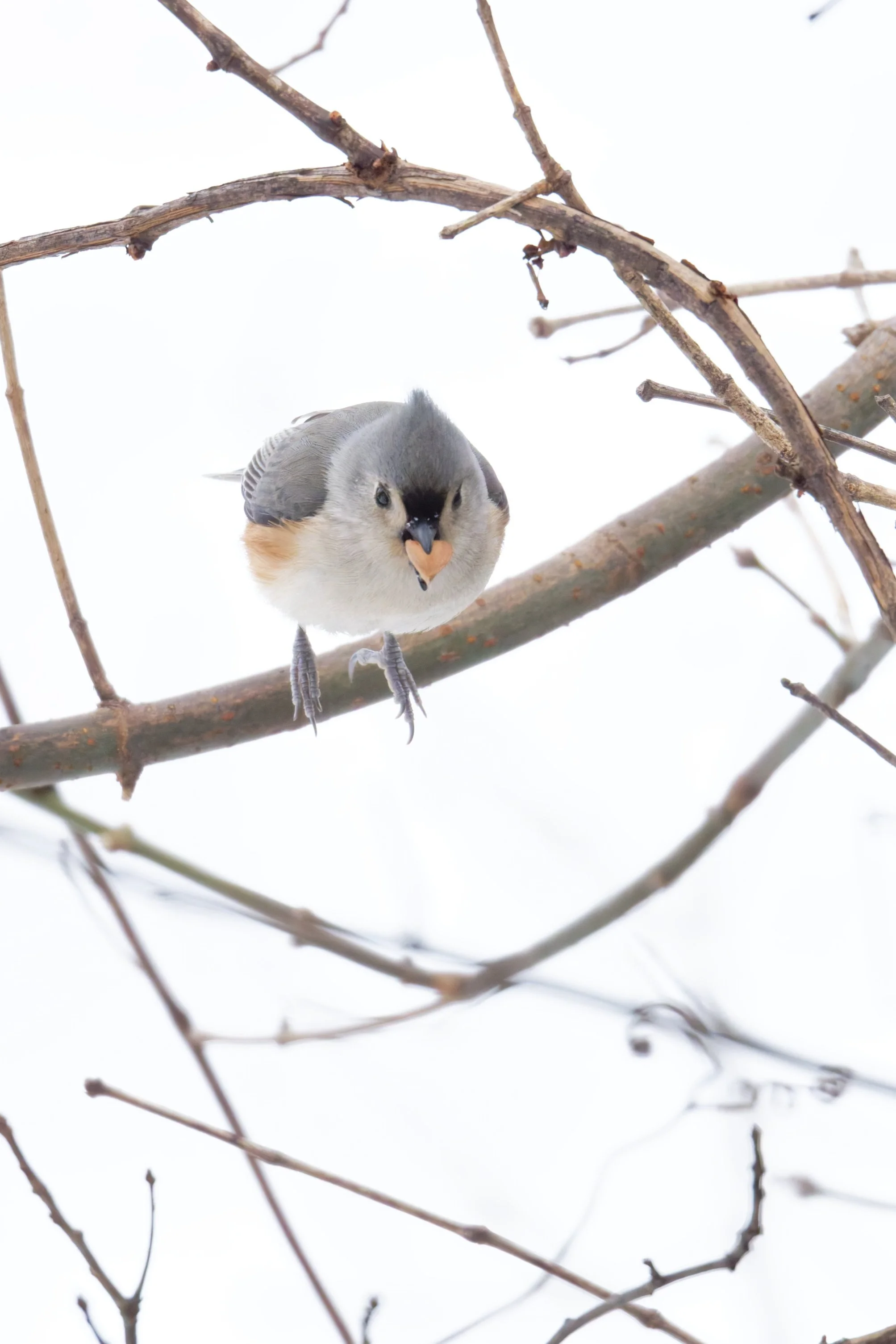 DSC_5459_DxO.jpg