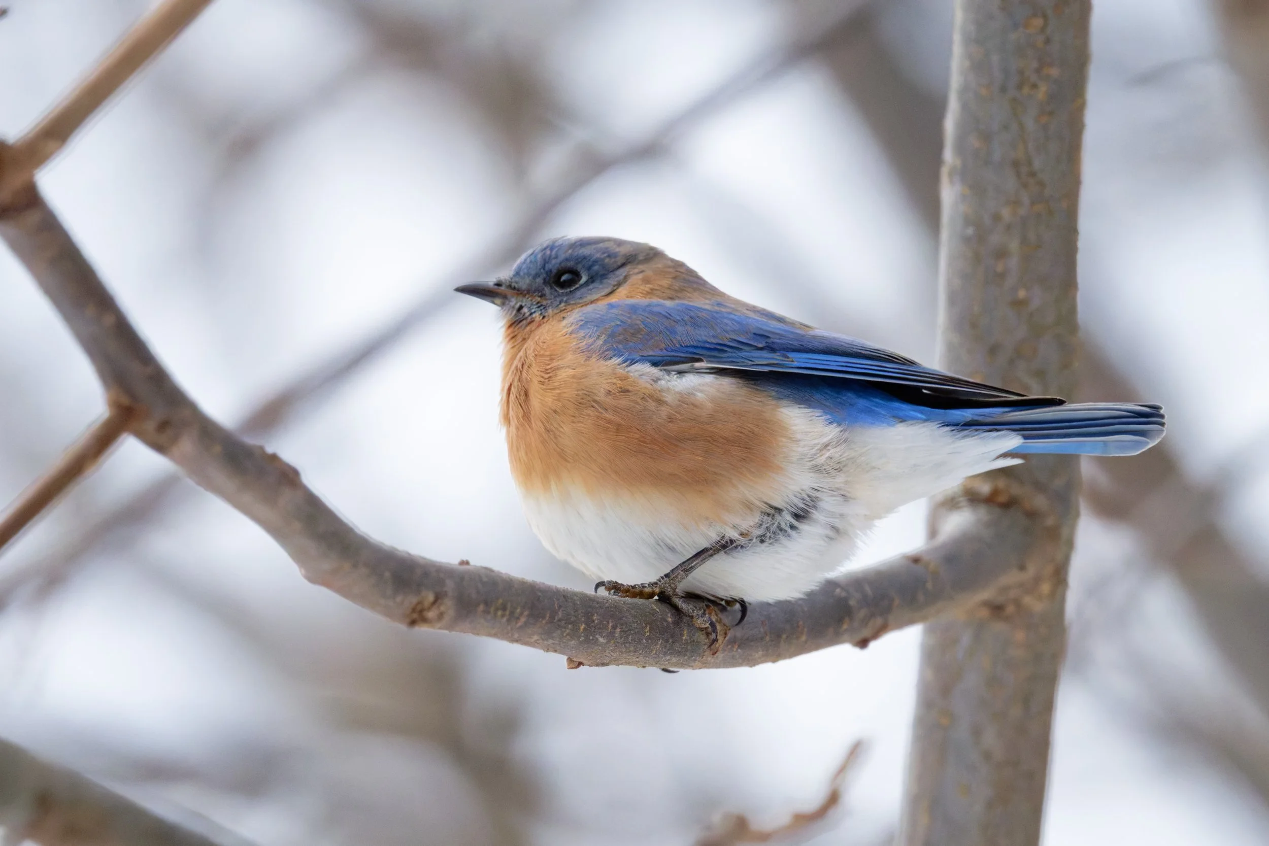 DSC_5656_DxO.jpg