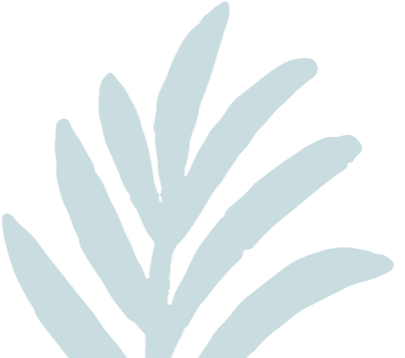 Light blue illustration of a plant or leaf against a black background.