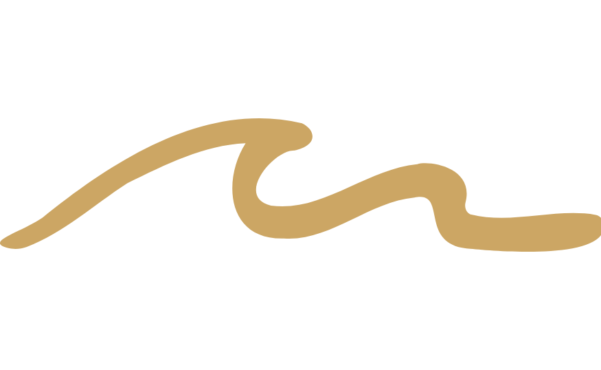 Light brown check mark symbol on black background.