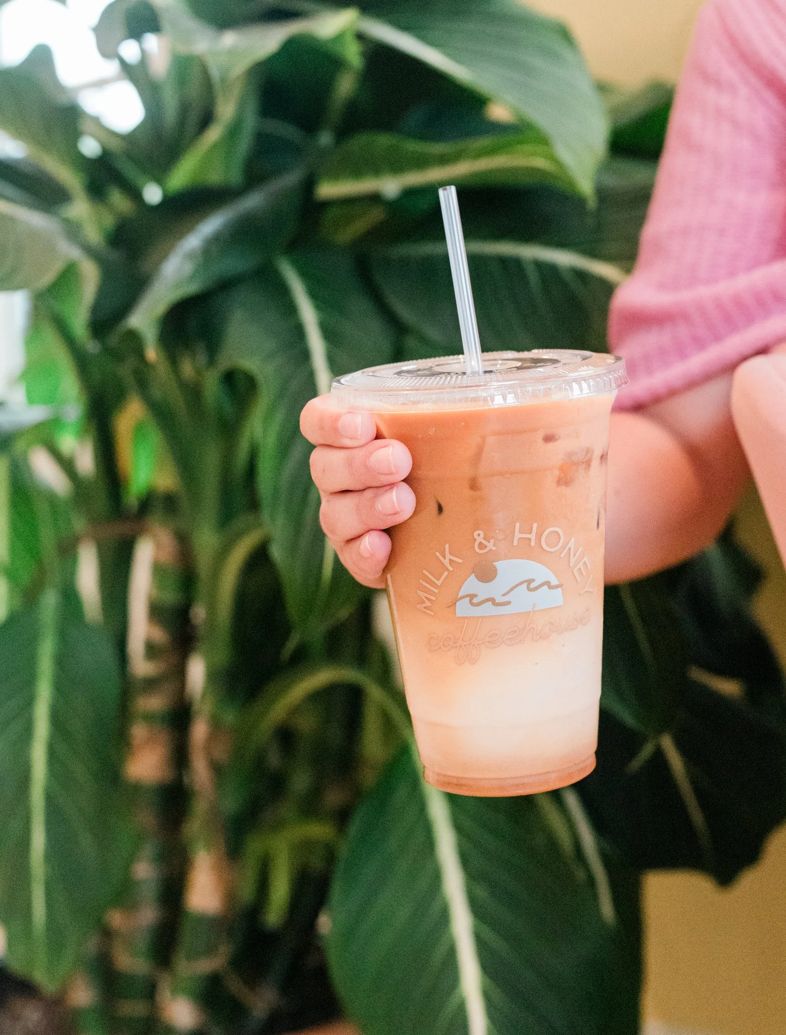 Person holding a large iced coffee drink in a clear cup with a logo that reads 'Milk & Honey Coffeehouse', with a background of green tropical leaves.