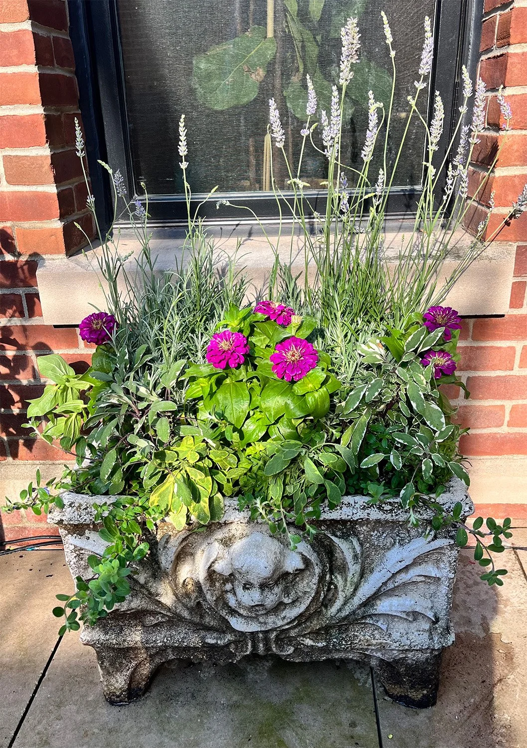 A decorative stone planter with a cherub face carving on the front, filled with pink and purple flowers and green foliage, placed outside on a concrete surface near a brick wall and a window.