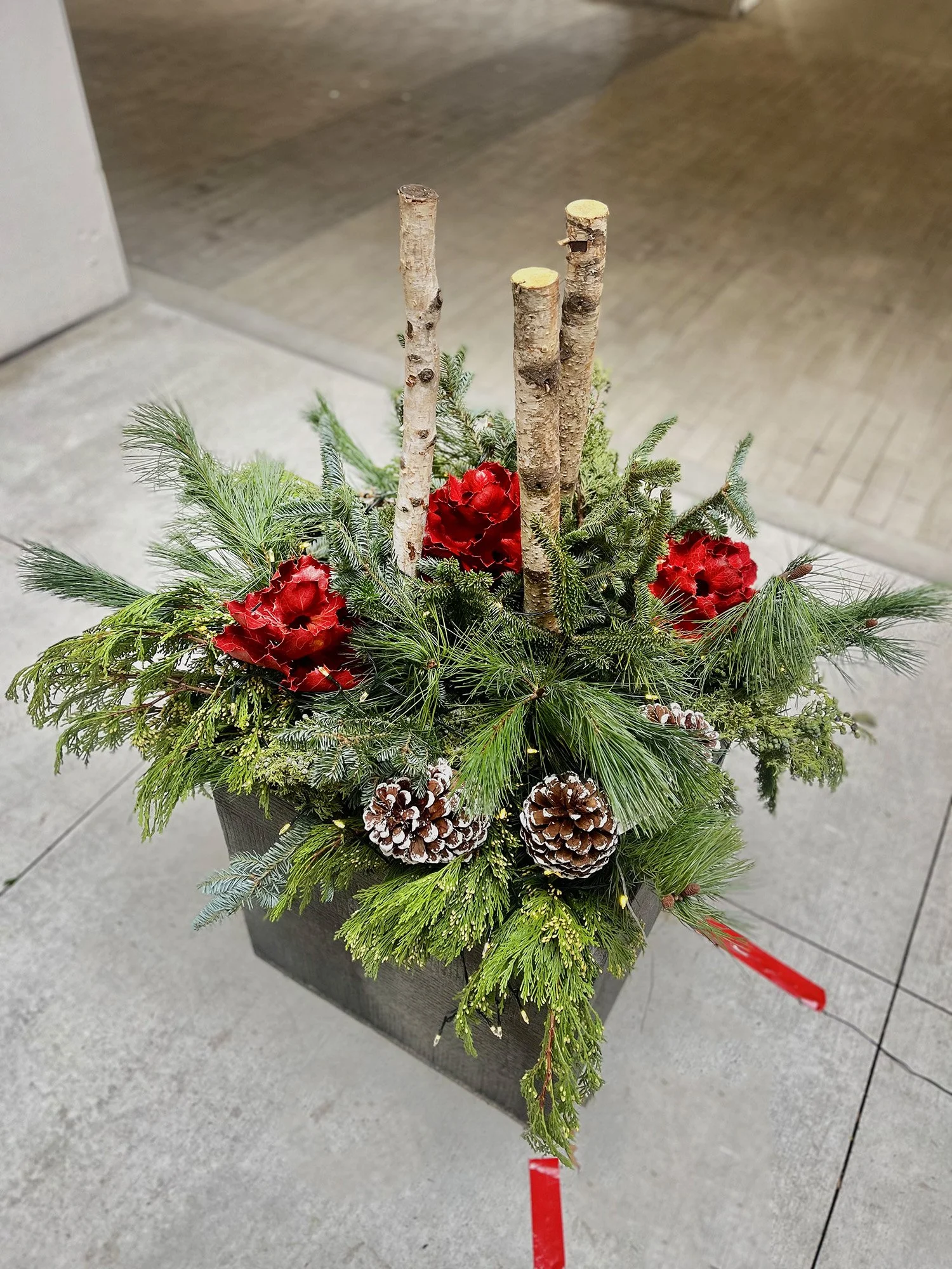 A holiday floral arrangement with pine branches, pine cones, and red flowers in a rectangular black planter.