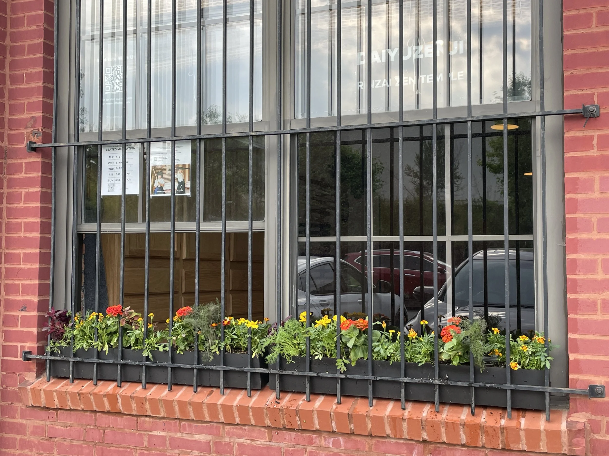 A window with black metal bars on a brick wall, decorated with a flower box filled with colorful flowers and greenery, in front of a parking lot with cars.