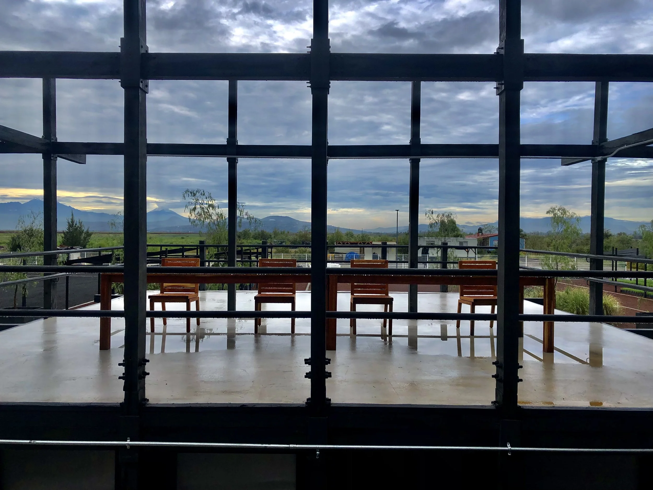 IMG_7479_vivero 9.jpg