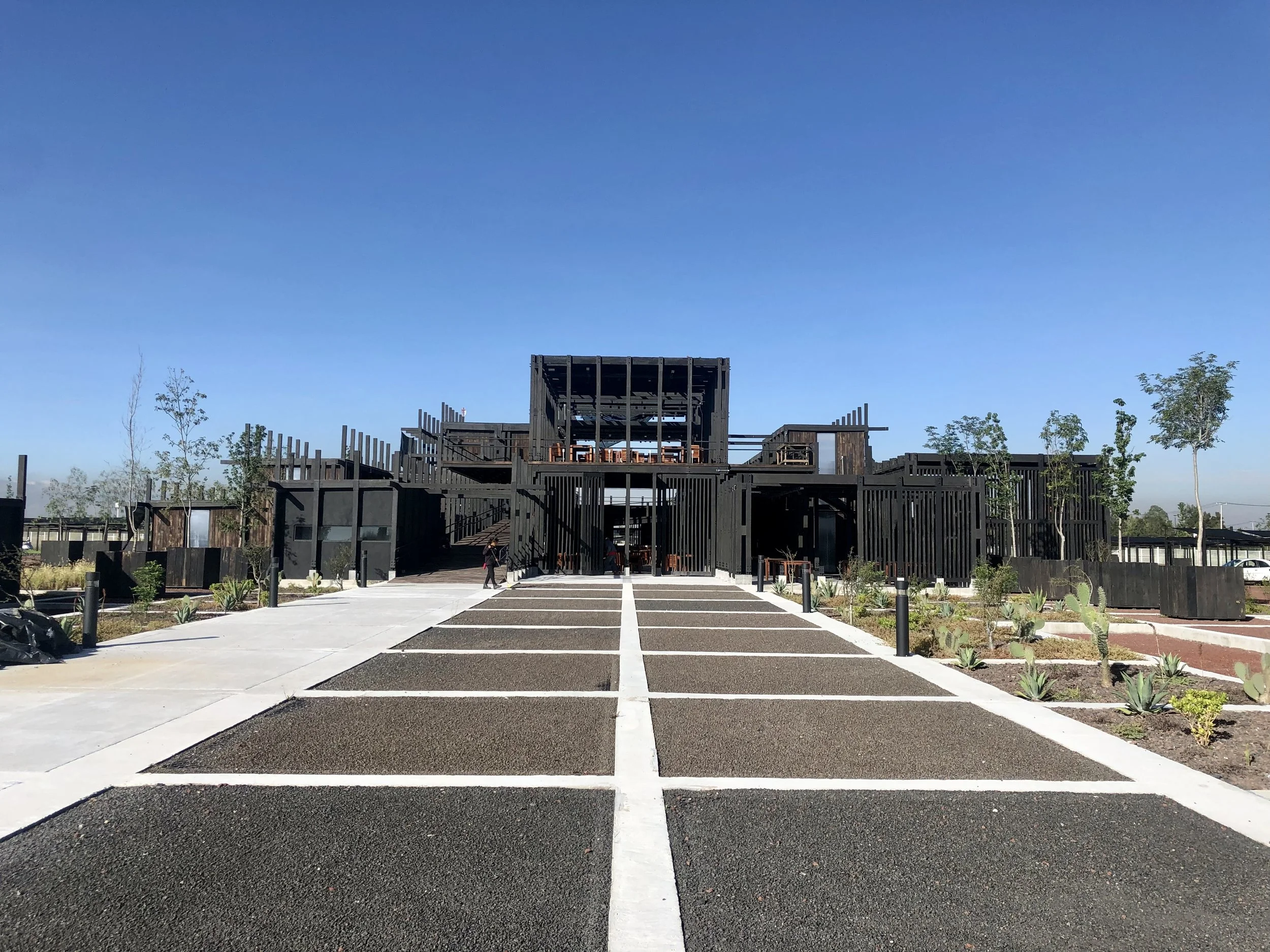 IMG_9174 vivero 4.jpg