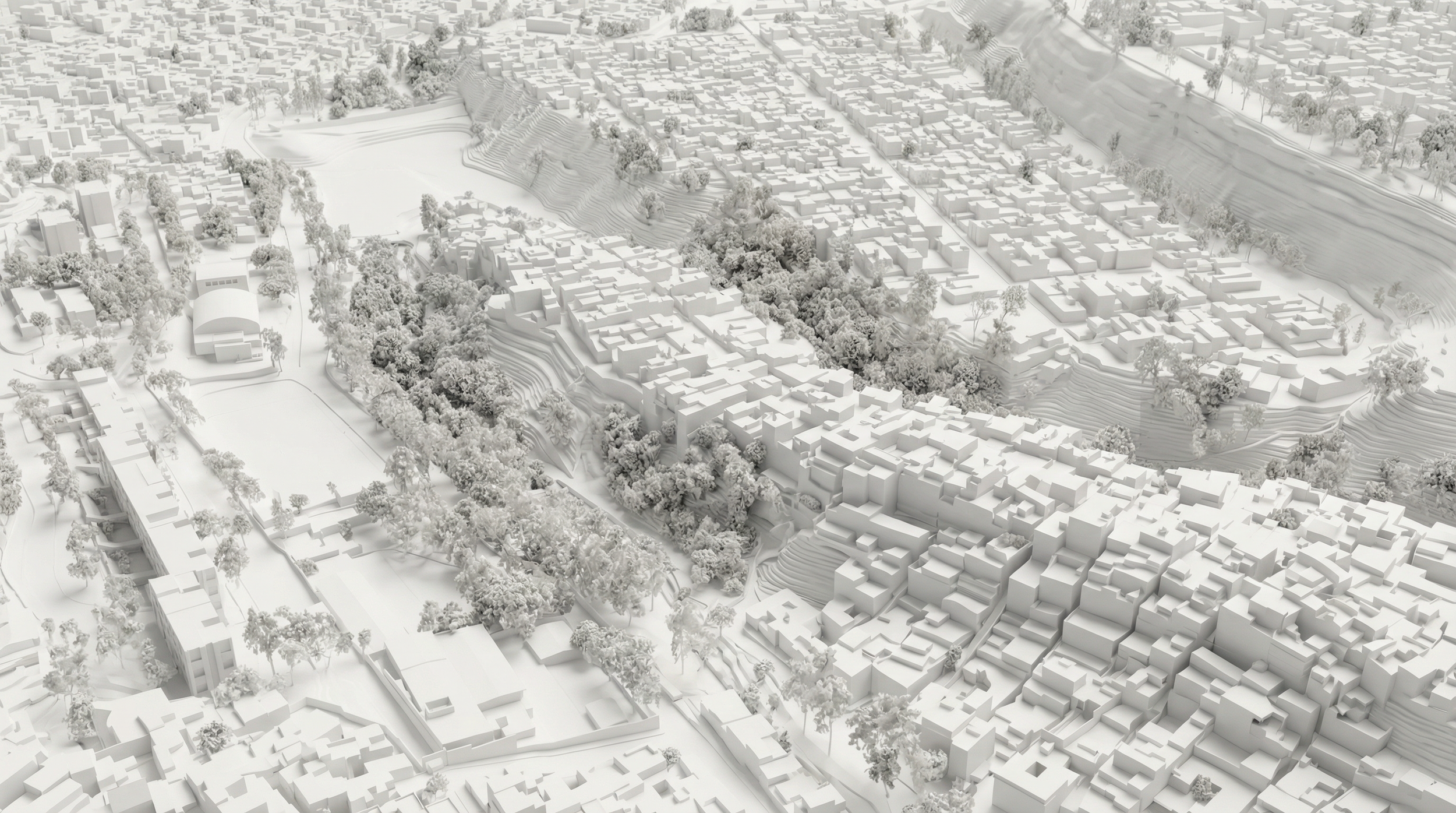 MAQUETA BLANCA FDA JALALPA.png