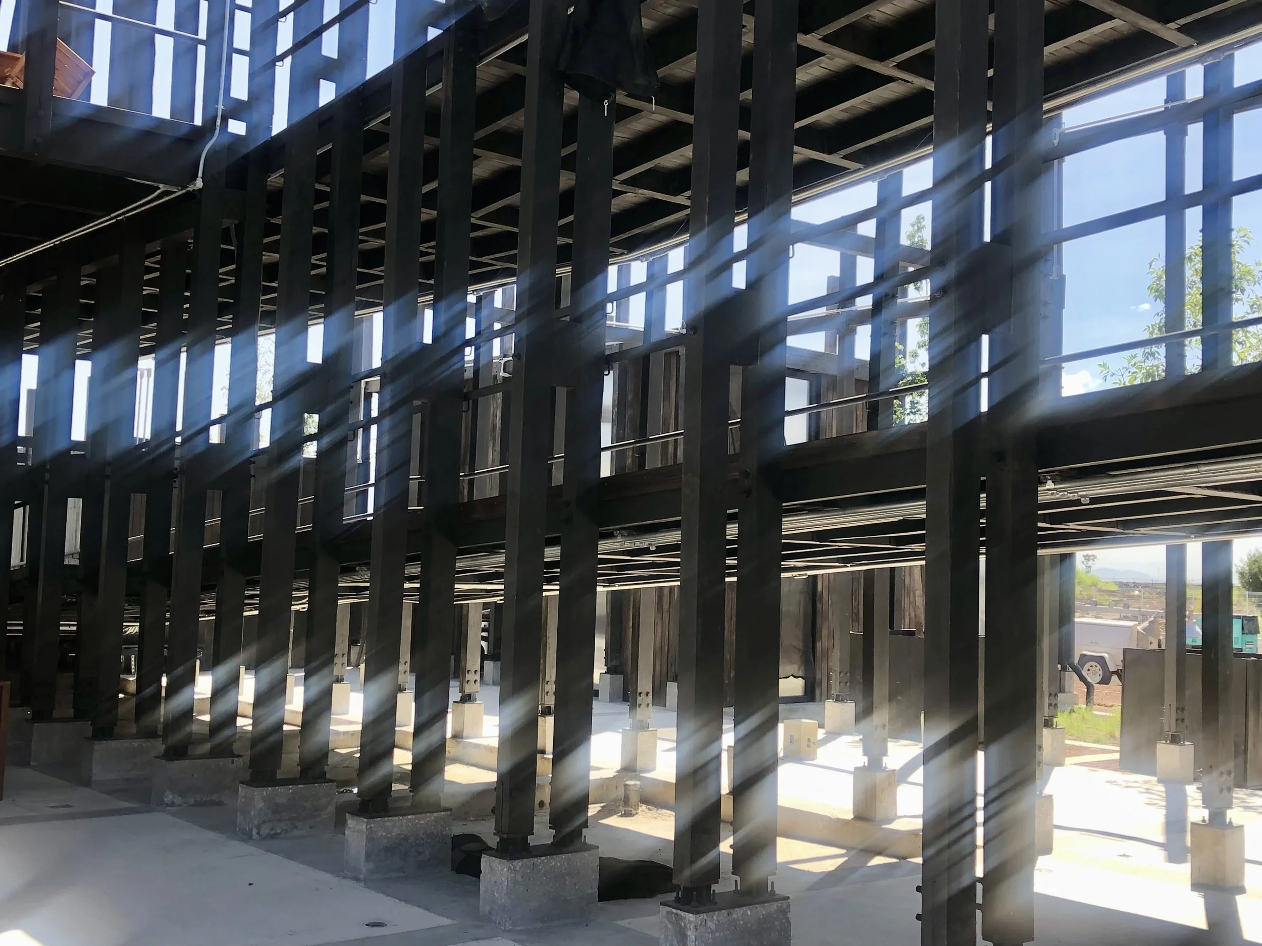 IMG_8768vivero 5.jpg