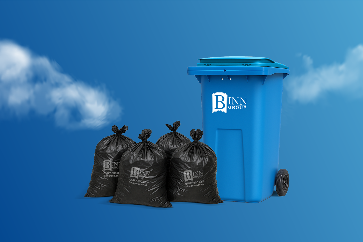 What goes in which bin?