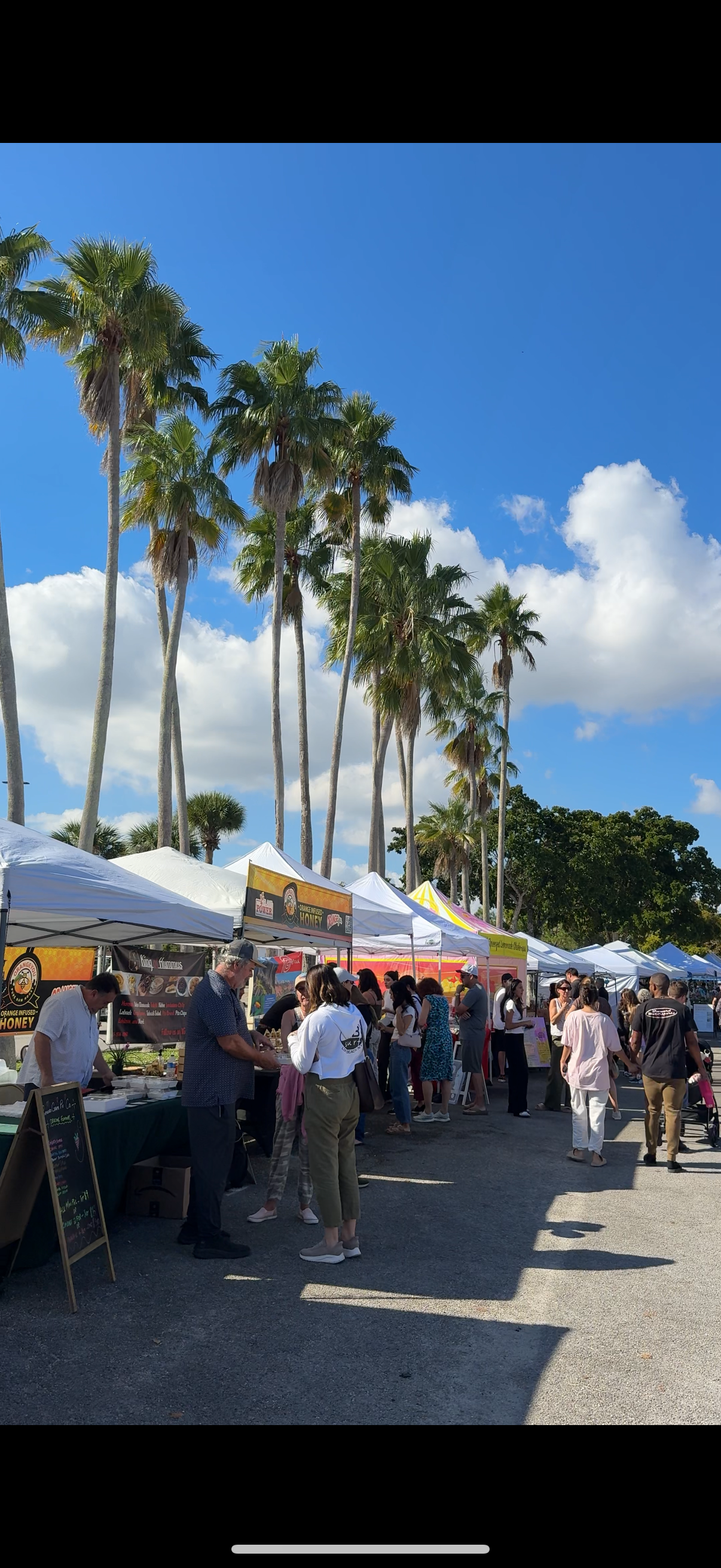 Outdoor market scene with white tents and people shopping under a clear blue sky with a few clouds and tall palm trees.