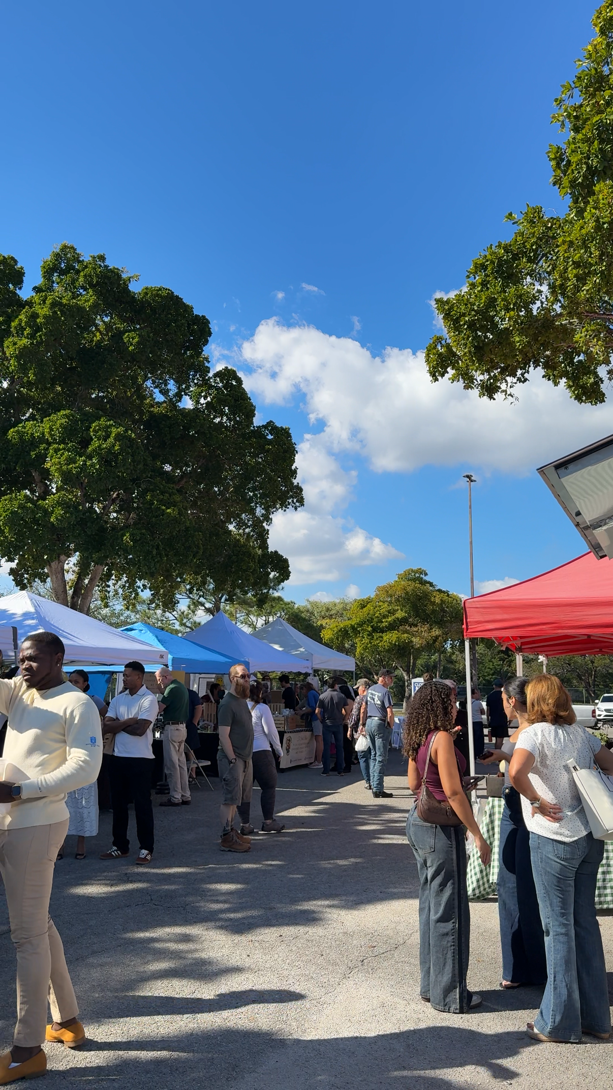 People browsing vendors at an outdoor market with white, blue, and red tents under a clear blue sky with a few clouds, surrounded by green trees.
