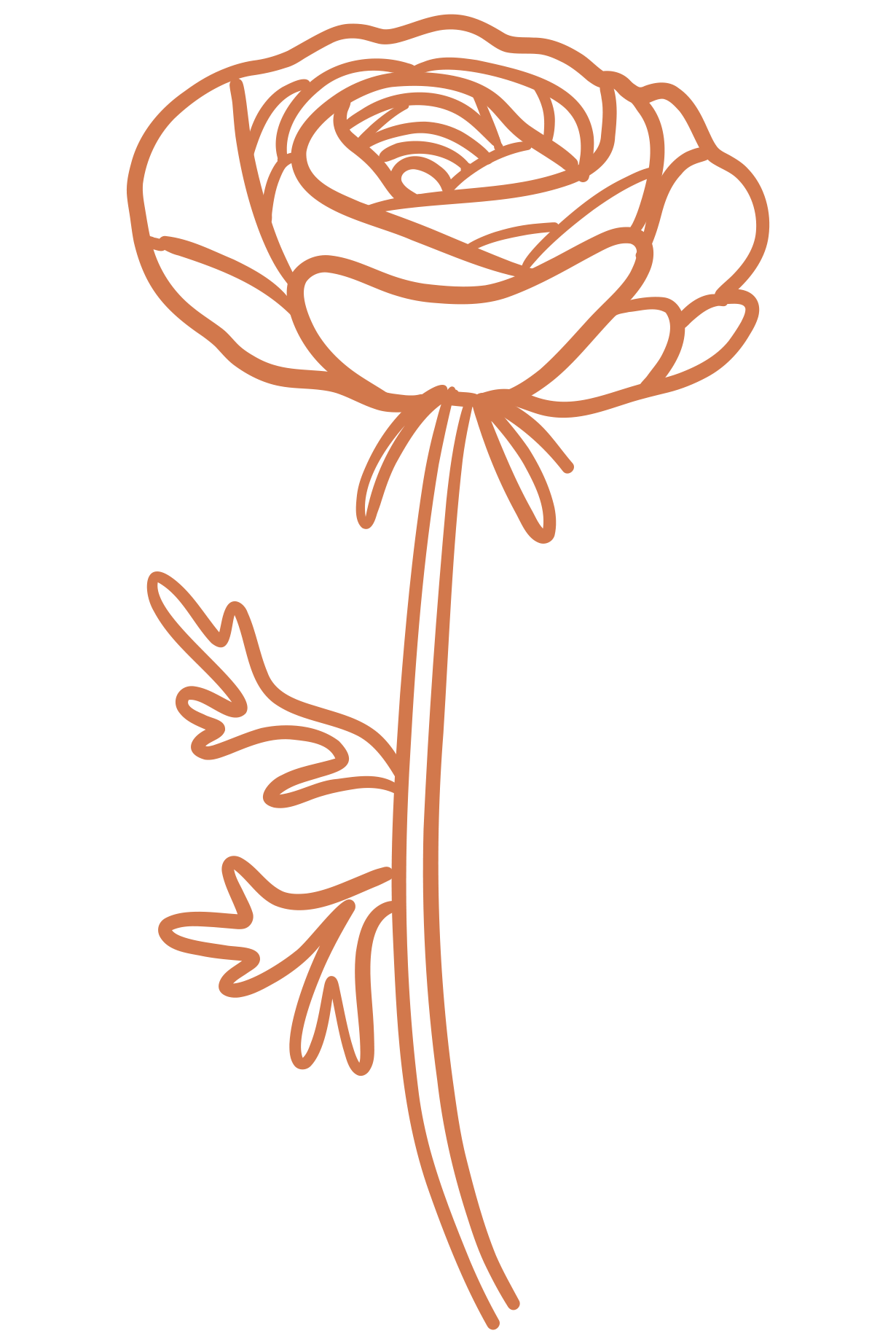 Line drawing of a single ranunculus with leaves, in orange on a transparent background.