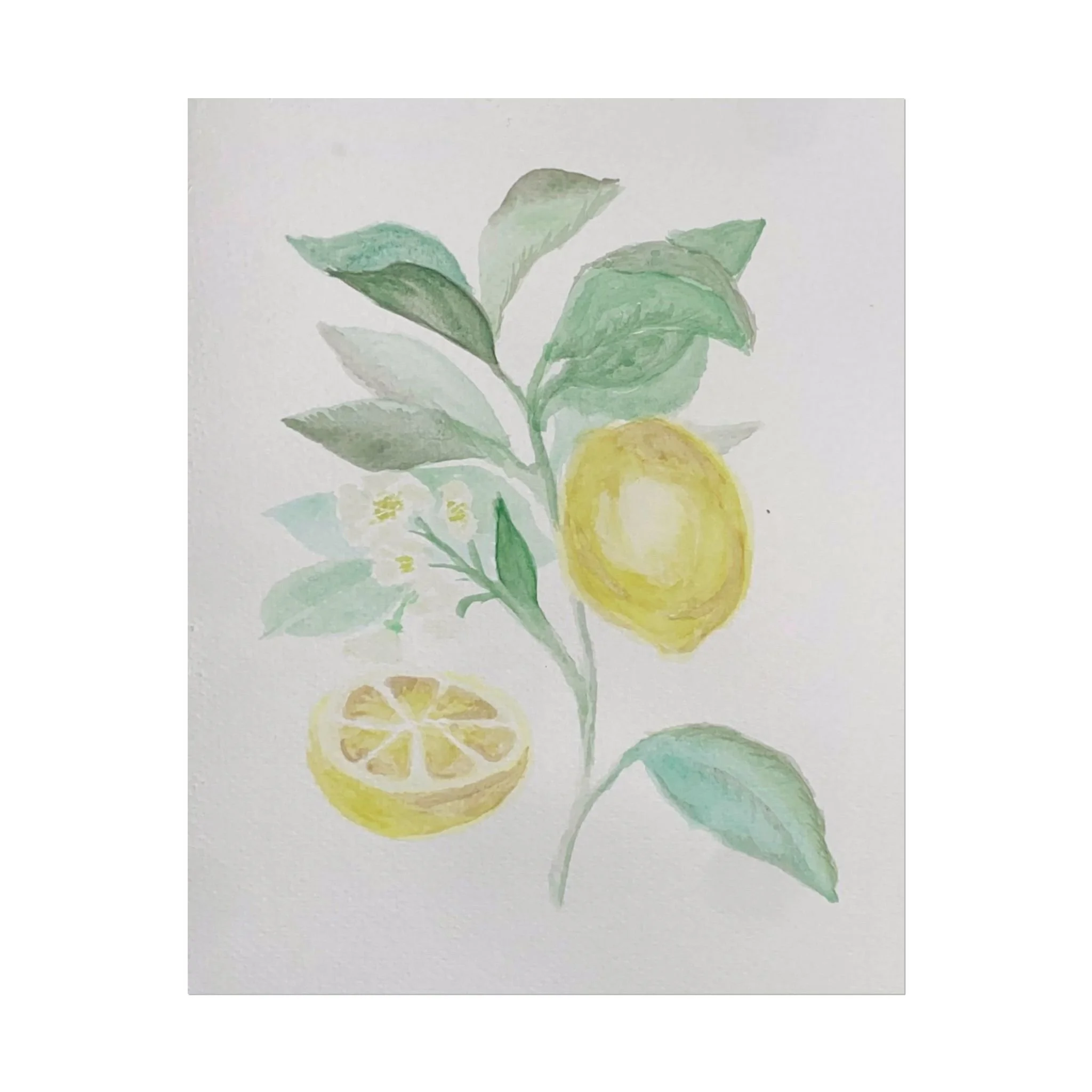 Watercolor Lemons (2025) — Print