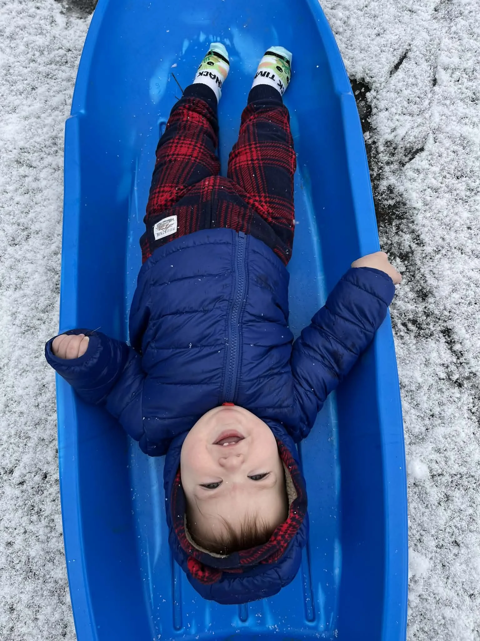 Child lying on a blue sled on snowy ground, wearing a blue jacket, red plaid pants, and socks with cartoon characters, smiling and looking up.