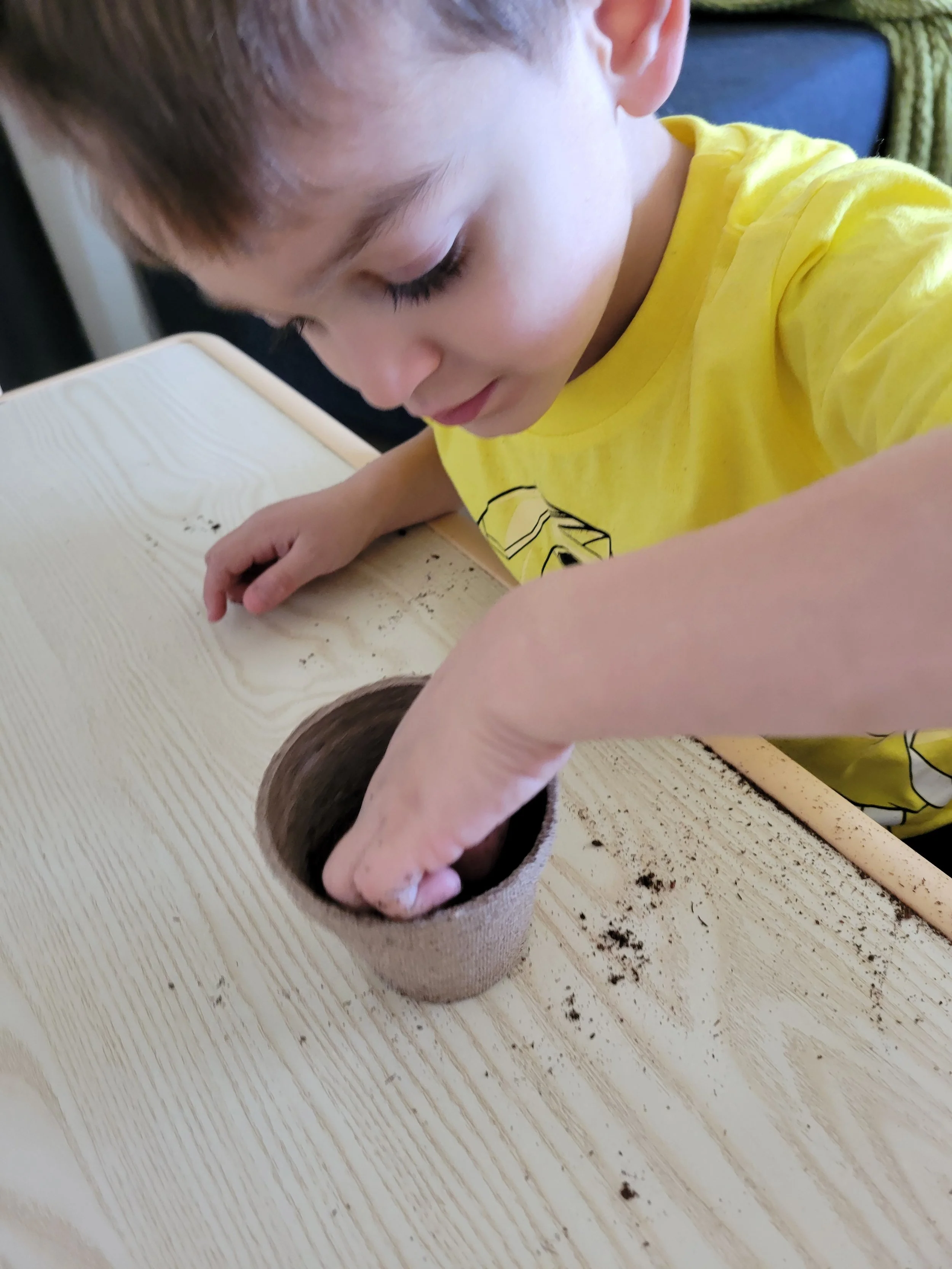 A young boy in a yellow shirt is planting a seed in a biodegradable pot on a wooden table.