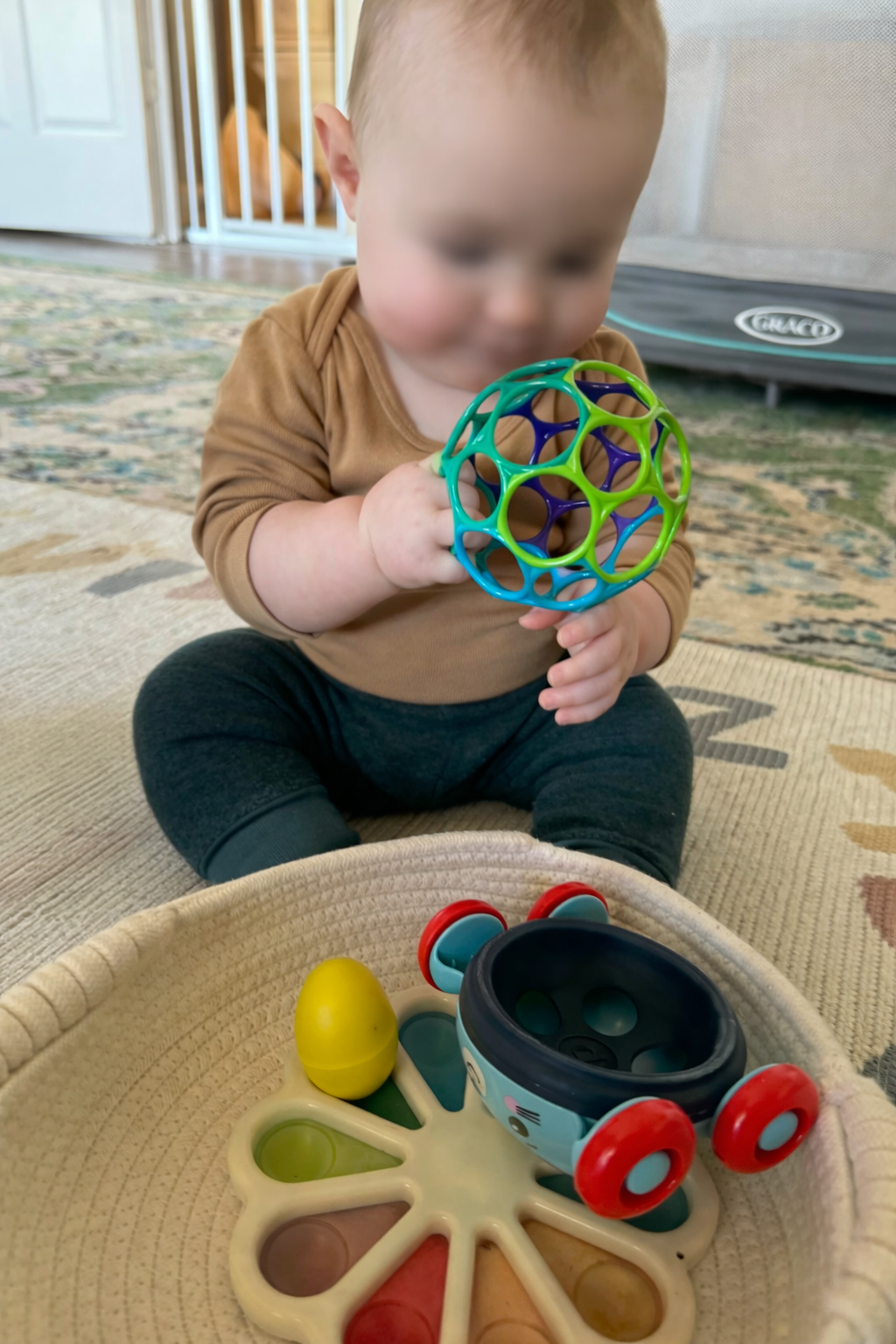 A young child sitting on a patterned rug holding a colorful plastic ball with multiple holes. In front of the child is a toy with a yellow egg, a wheel with red and blue parts, and a small raccoon-shaped container with red wheels.