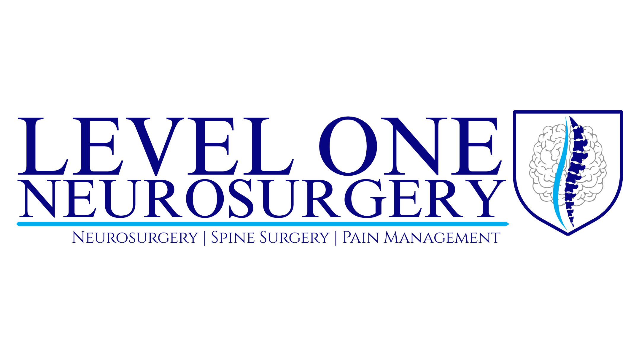 Logo for Level One Neurosurgery - neurosurgery, spine surgery, and pain management.